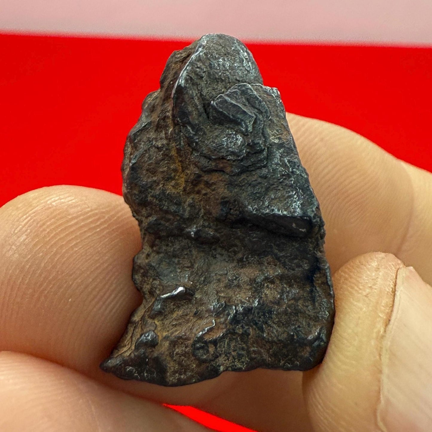 Gibeon Meteorite, Namibia, Iron IVA, 15.50 grams, Rare Meteorite, Iron Meteorite, Astronomy Gift, Space Gift, African Meteorite