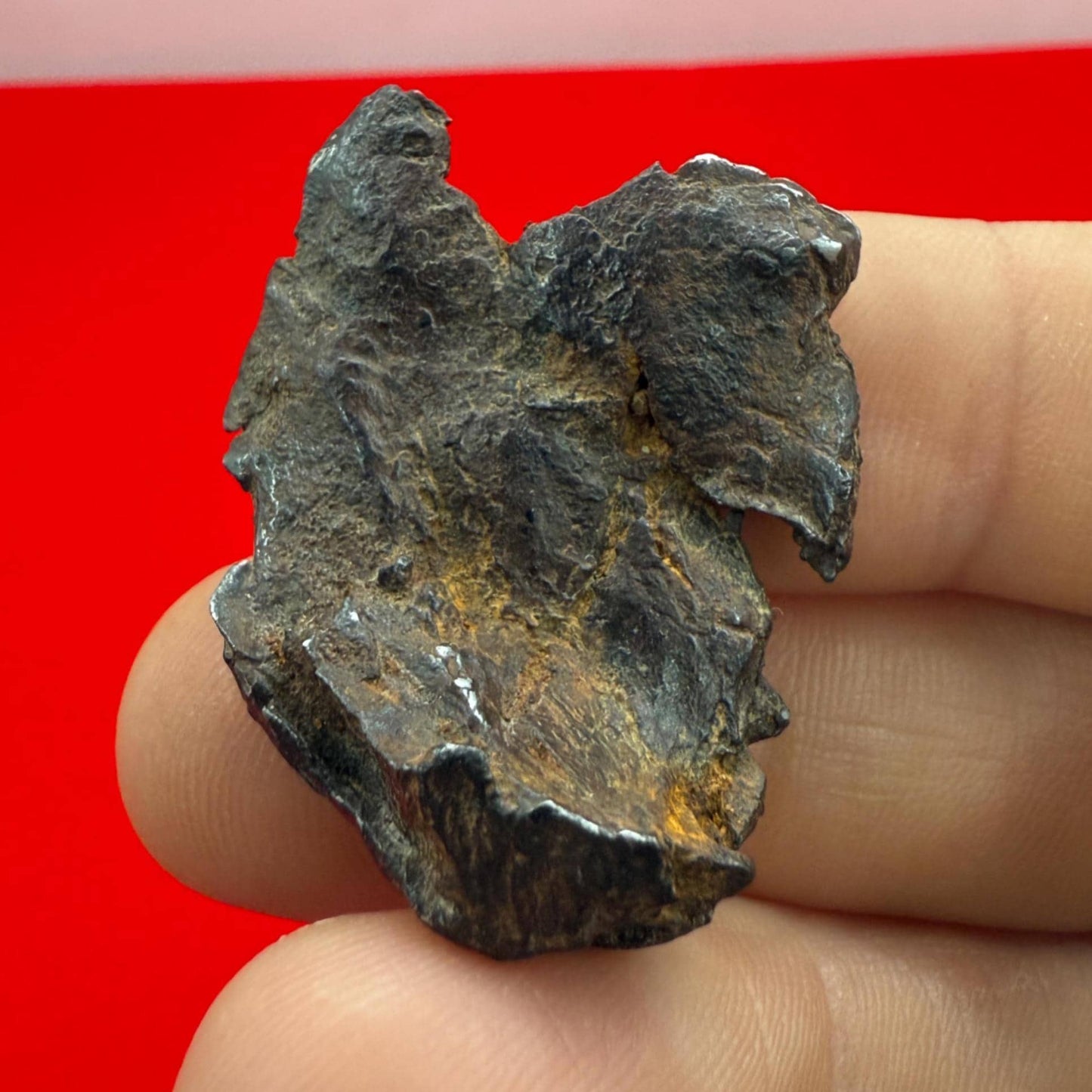 Gibeon Meteorite, Namibia, Iron IVA, 15.92 grams, Rare Meteorite, Iron Meteorite, Astronomy Gift, Space Gift, African Meteorite