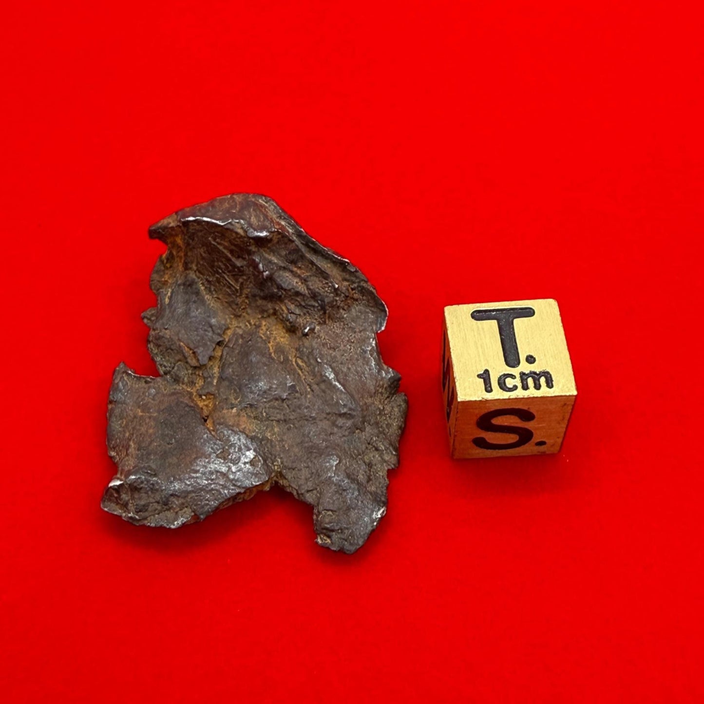 Gibeon Meteorite, Namibia, Iron IVA, 15.92 grams, Rare Meteorite, Iron Meteorite, Astronomy Gift, Space Gift, African Meteorite