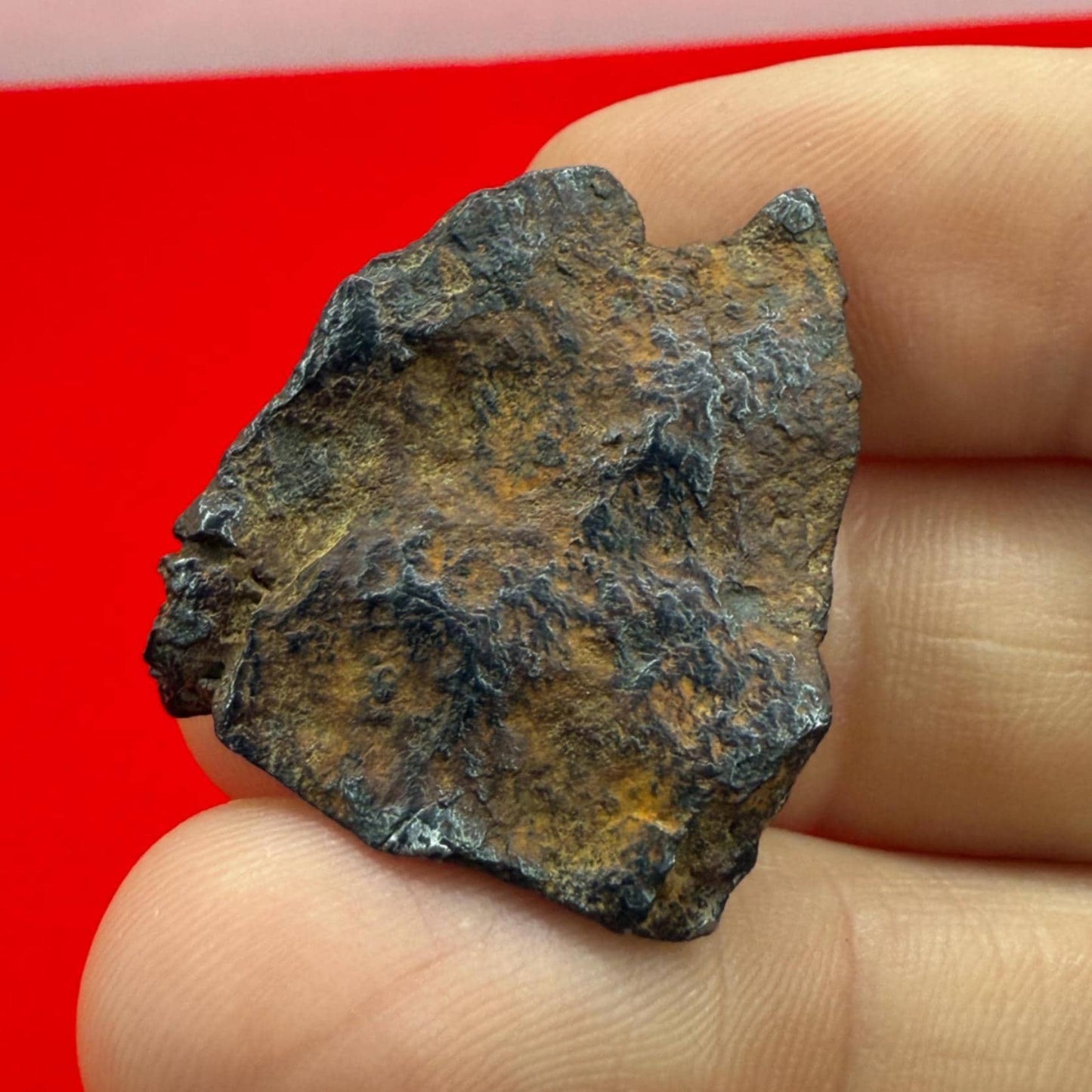 Gibeon Meteorite, Namibia, Iron IVA, 16.63 grams, Rare Meteorite, Iron Meteorite, Astronomy Gift, Space Gift, African Meteorite