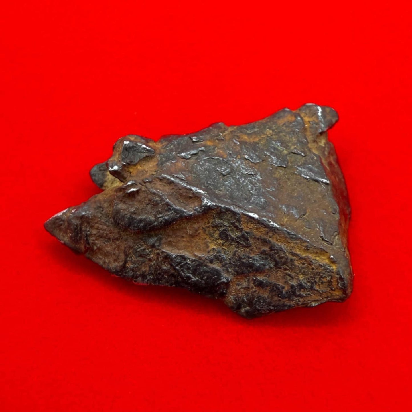 Gibeon Meteorite, Namibia, Iron IVA, 16.63 grams, Rare Meteorite, Iron Meteorite, Astronomy Gift, Space Gift, African Meteorite