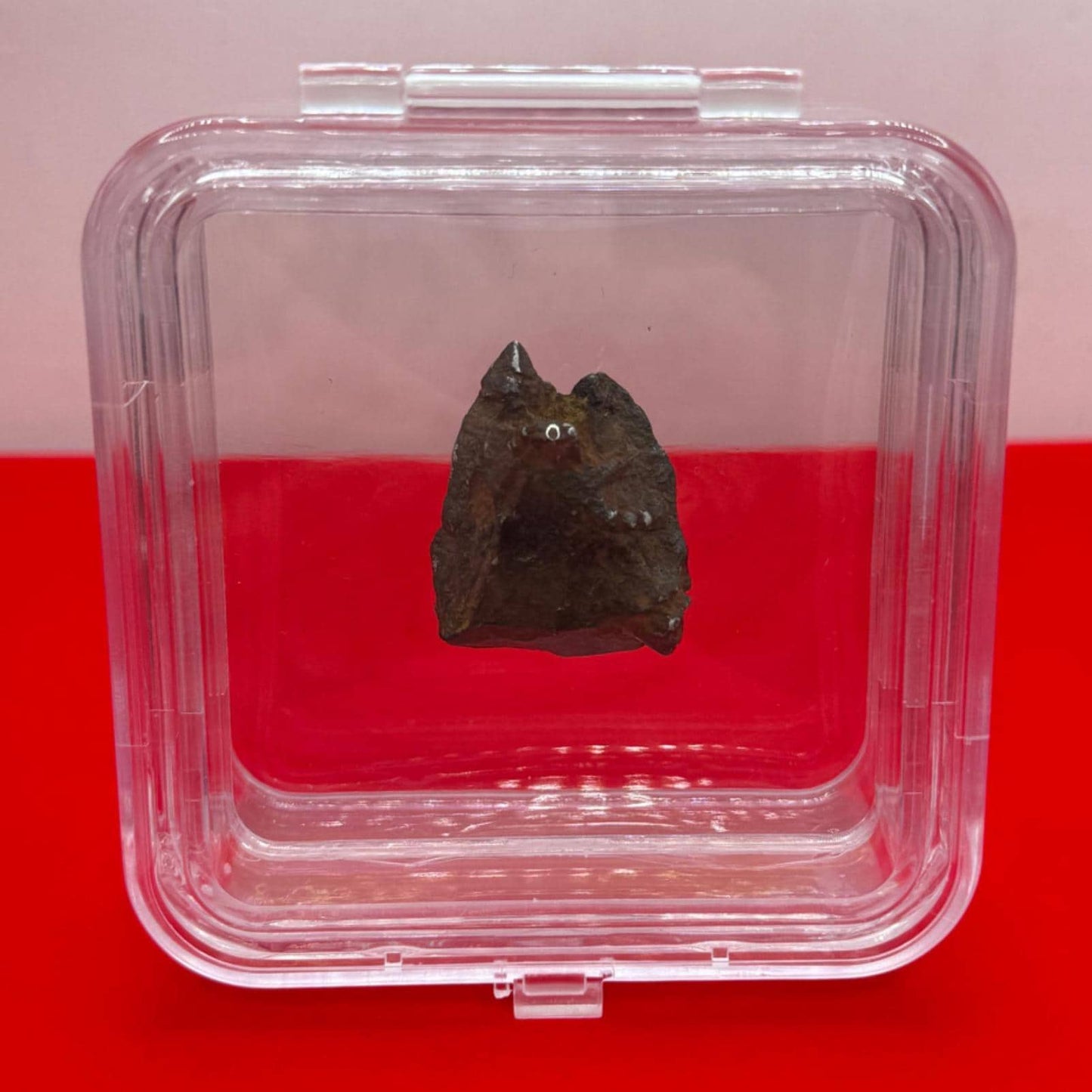 Gibeon Meteorite, Namibia, Iron IVA, 16.63 grams, Rare Meteorite, Iron Meteorite, Astronomy Gift, Space Gift, African Meteorite