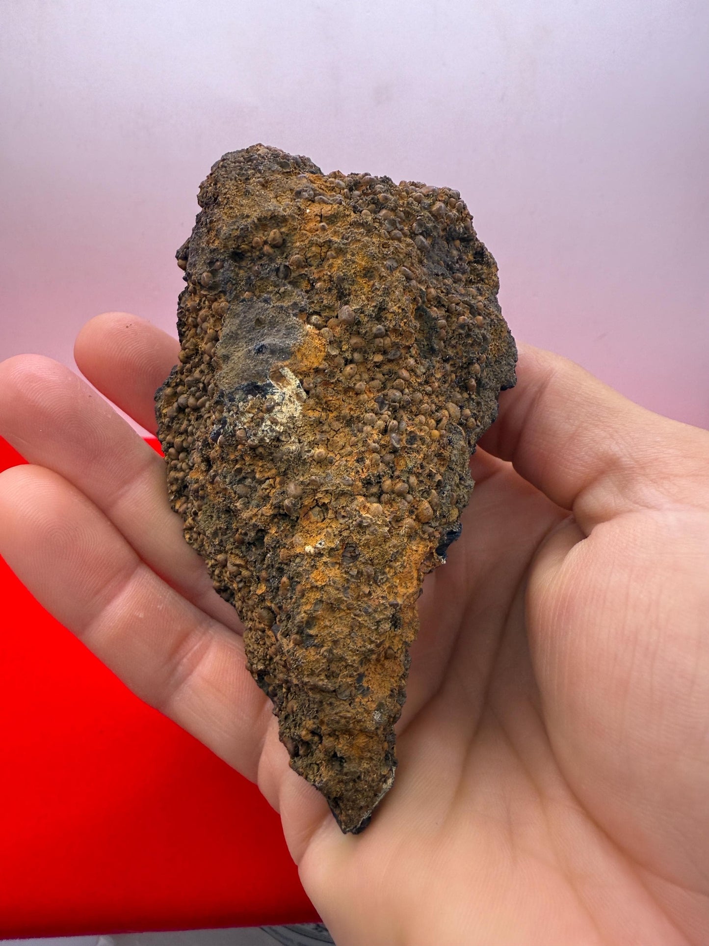 Rare Large Vivianite Crystal Specimen, Vivianite, Vivianite, Brazilian Vivianite, Reiki Energy, Crystal Collection, Reiki, 275 Grams/9.8 oz