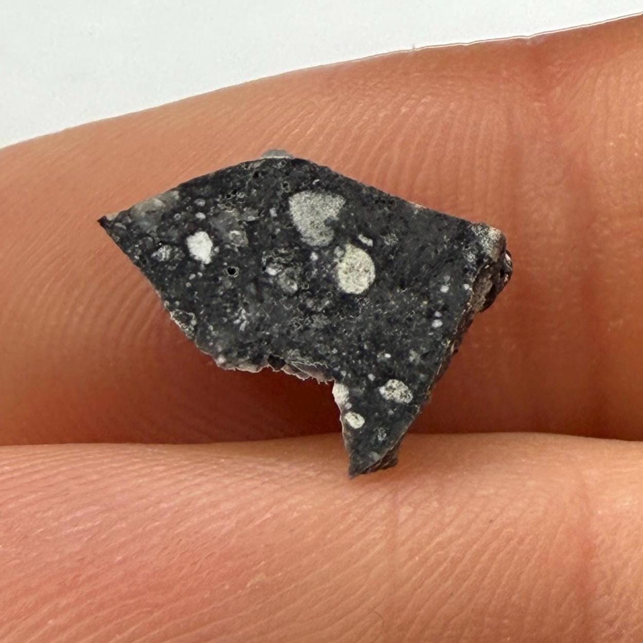 NWA 17679 Lunar Meteorite Slice: Feldspathic Breccia Moon Rock, 0.34g
