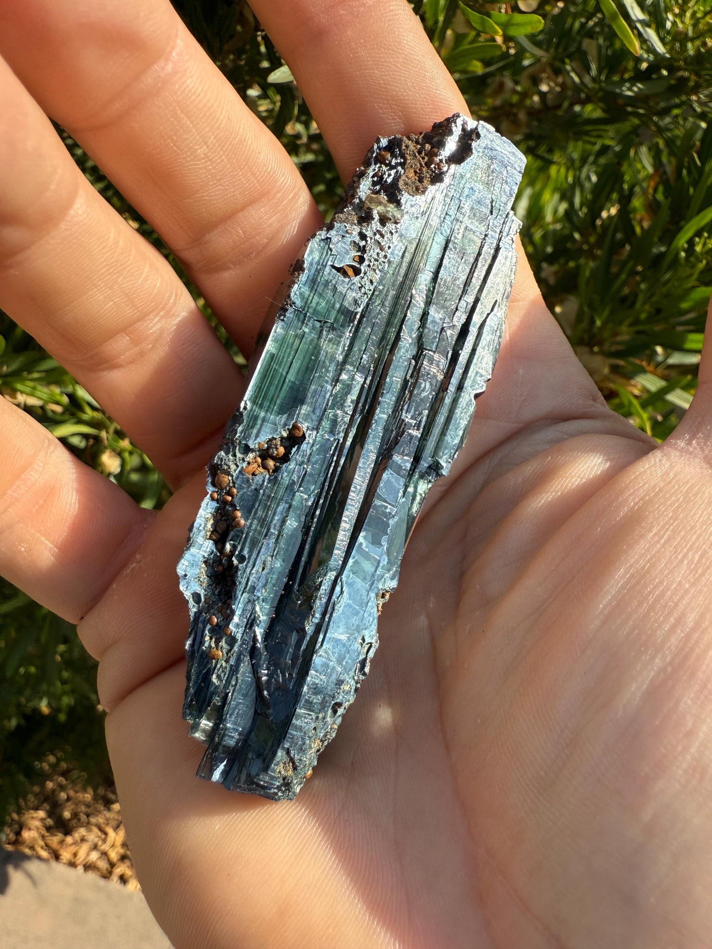 Rare Vivianite Crystal, Vivianite, Vivianite, Brazilian Vivianite, Reiki Energy, Crystal Collection, Reiki, 43.99 grams|219.95 carats