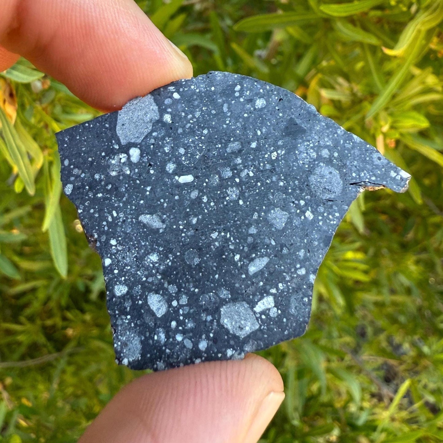 NWA 17679 Lunar Meteorite Slice, Rare Feldspathic Breccia Lunar, Mauritania, Africa, Moon Rock, Astronomy Gift, 7.12 grams