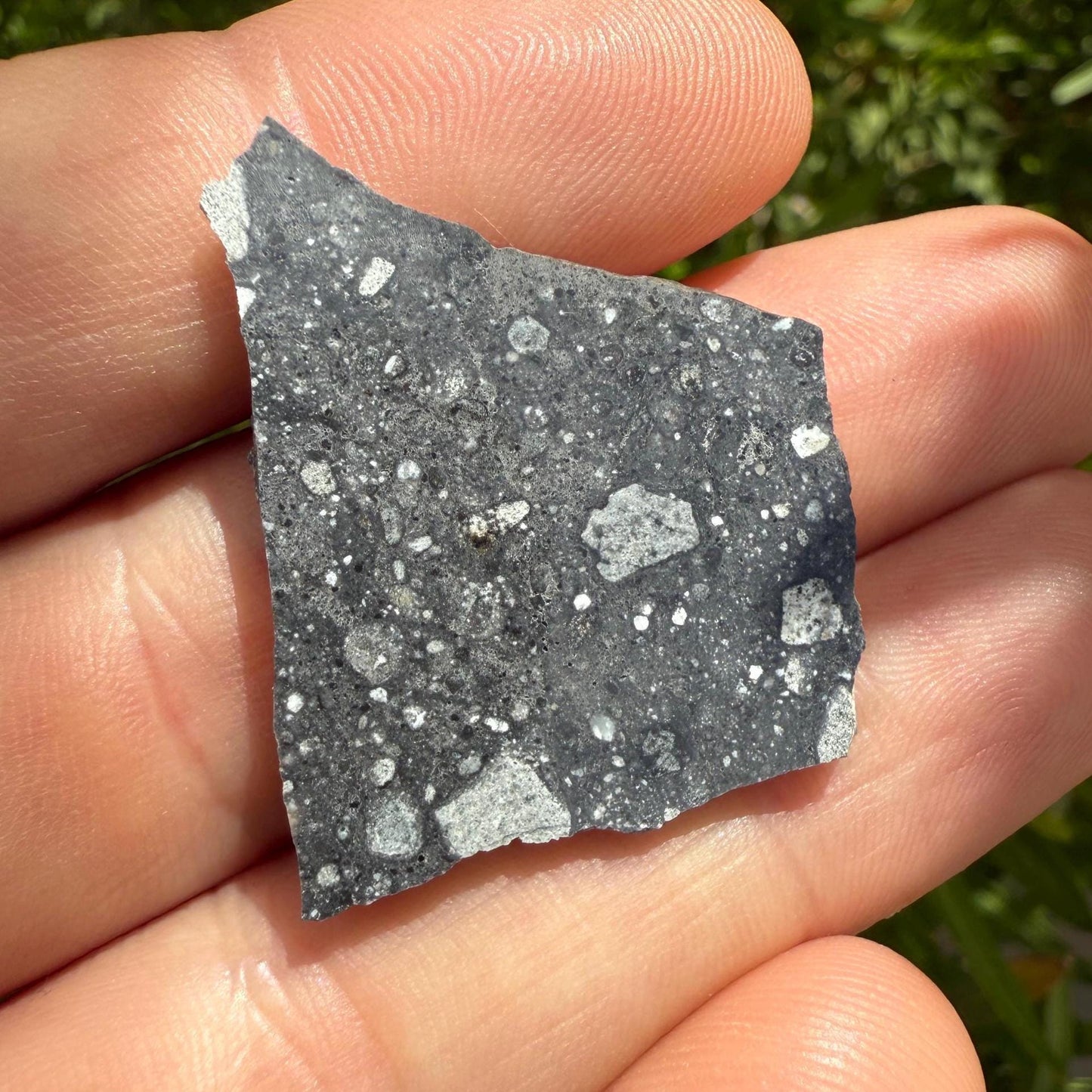 NWA 17679 Lunar Meteorite Slice, Rare Feldspathic Breccia Lunar, Mauritania, Africa, Moon Rock, Astronomy Gift, 3.91 grams