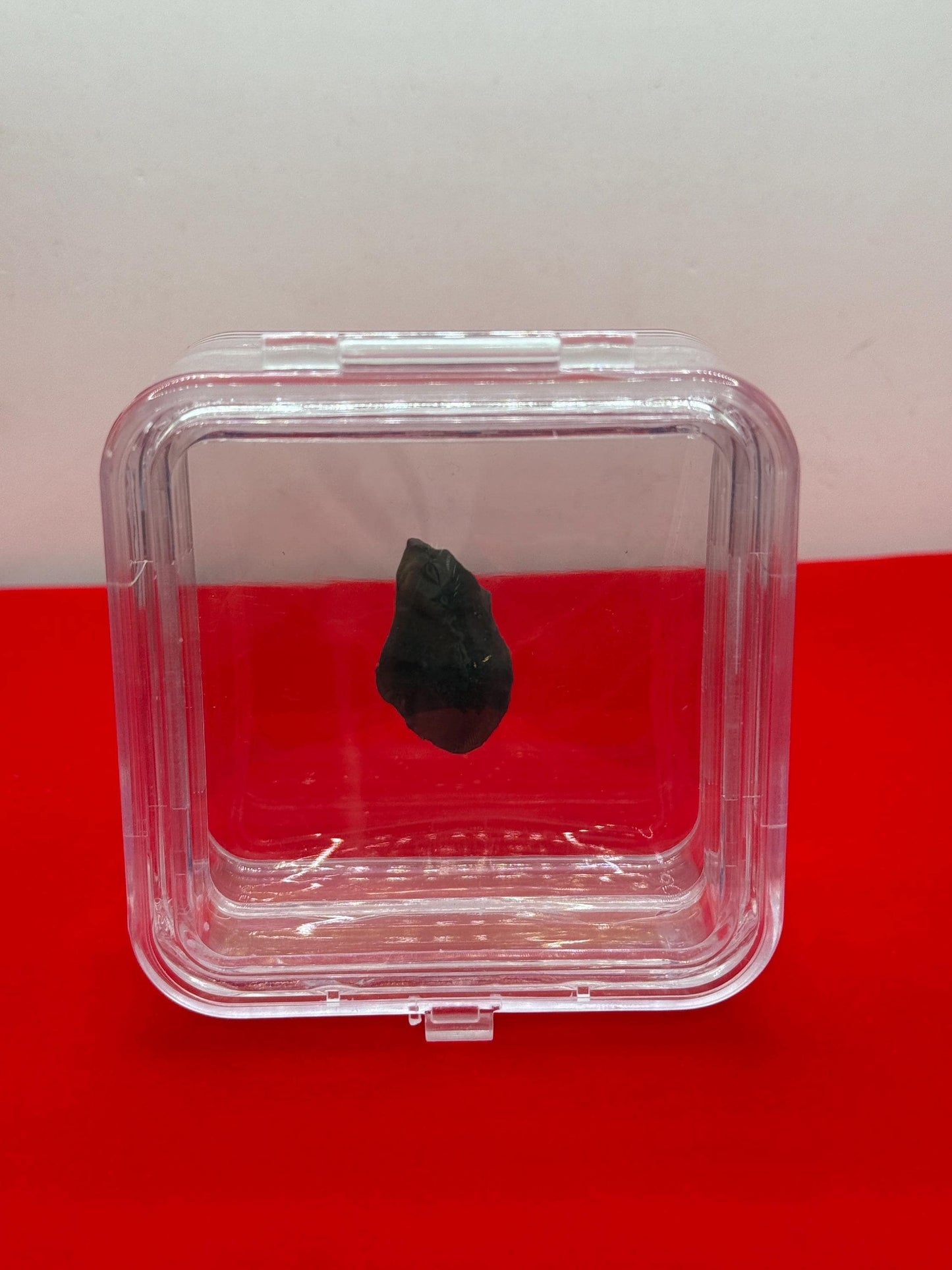 Saffordite Specimen, Cintamani, Rare and Beautiful, Shamanic, Arizona, Pseudotektite, Obsidian, Metaphysical, 4.70 grams