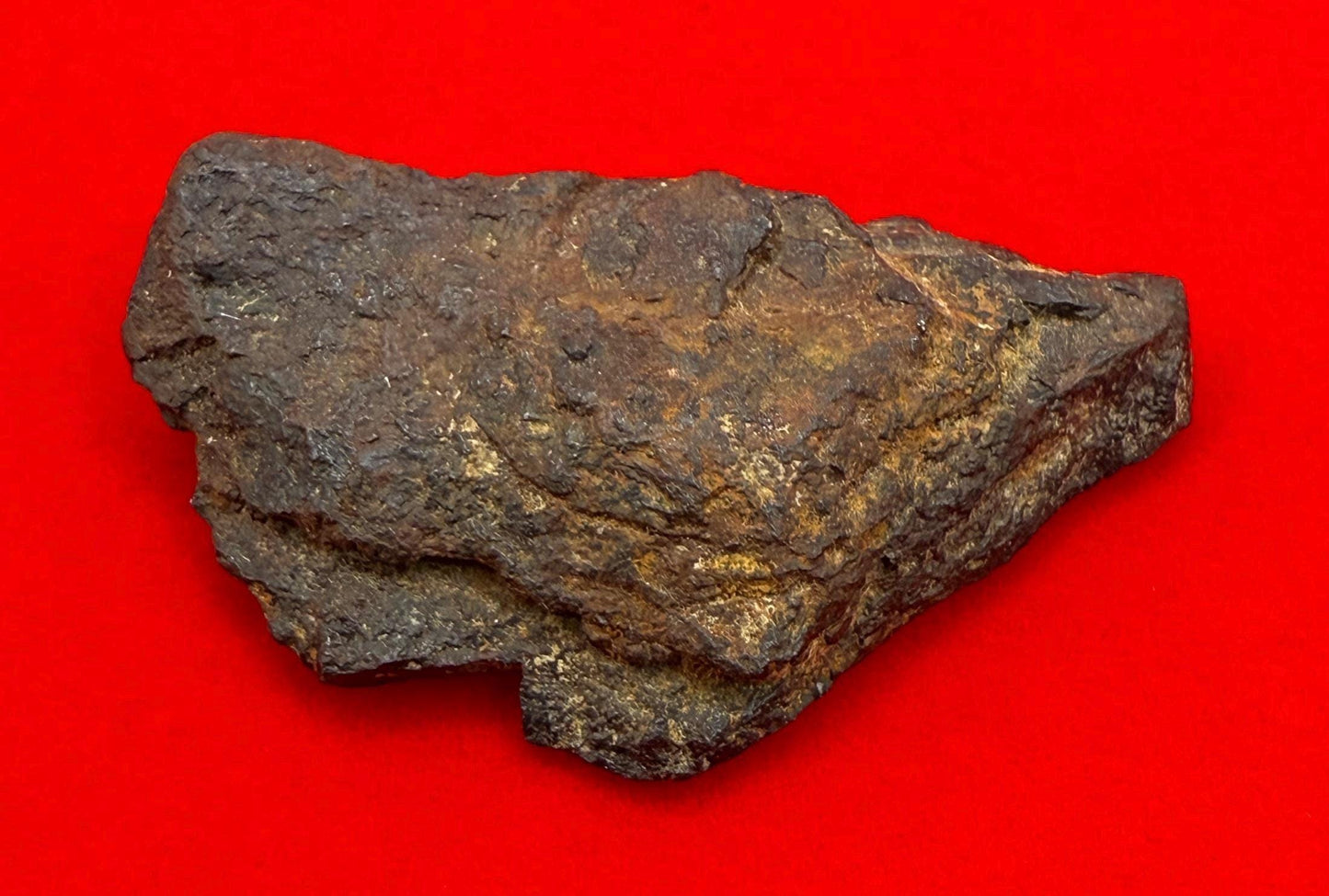 Gibeon Meteorite, Namibia, Iron IVA, 12.92 grams, Rare Meteorite, Iron Meteorite, Astronomy Gift, Space Gift, African Meteorite