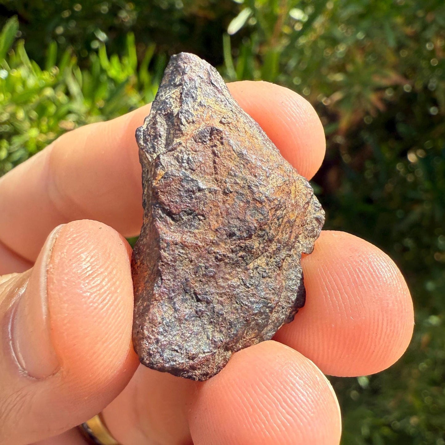 Gibeon Meteorite, Namibia, Iron IVA, 12.92 grams, Rare Meteorite, Iron Meteorite, Astronomy Gift, Space Gift, African Meteorite