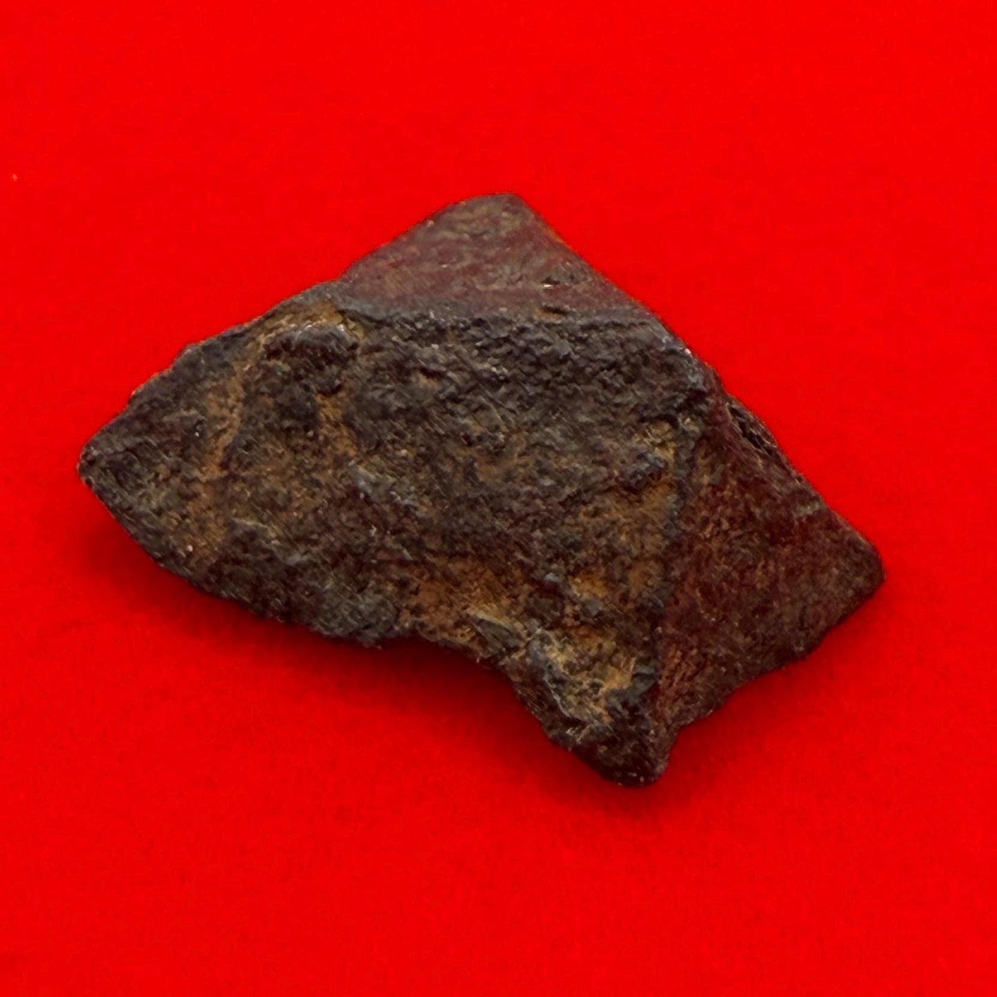 Gibeon Meteorite, Namibia, Iron IVA, 3.39 grams, Rare Meteorite, Iron Meteorite, Astronomy Gift, Space Gift, African Meteorite