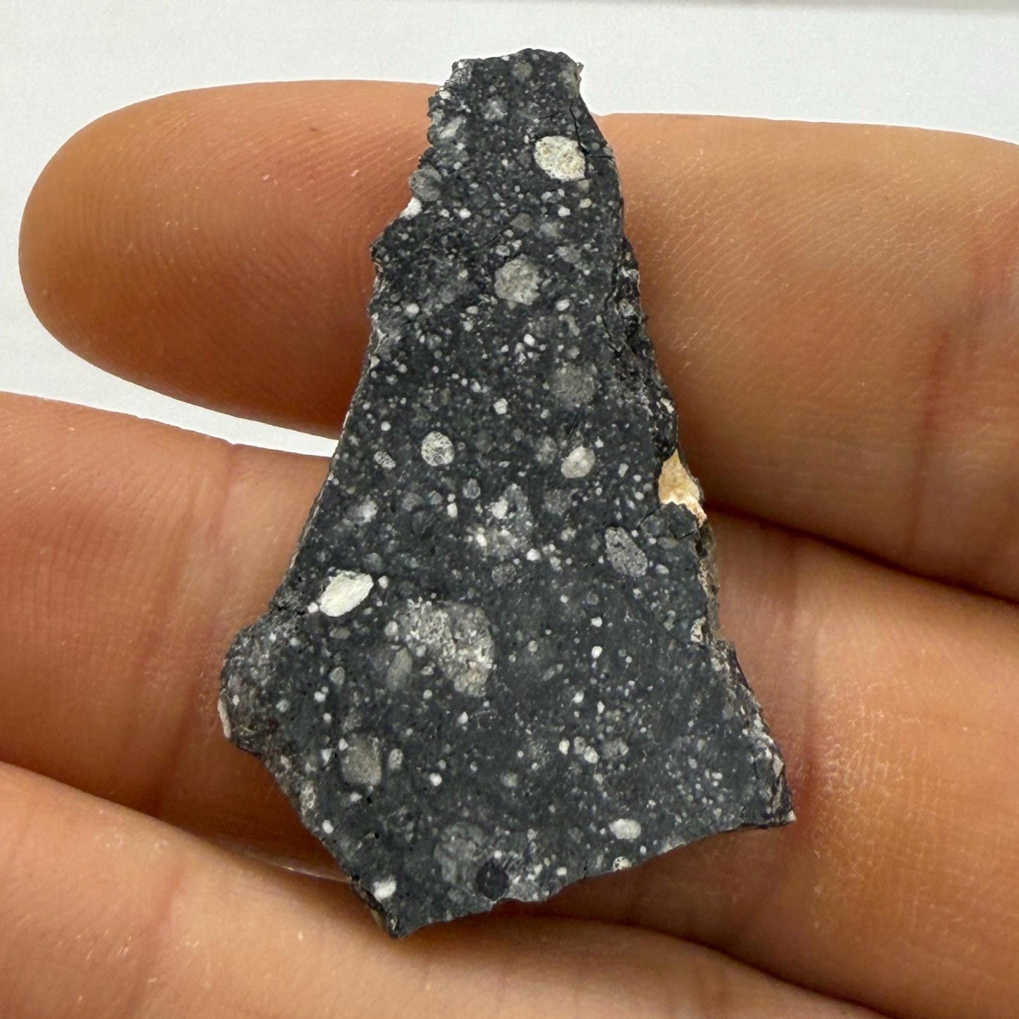 NWA 17679 Lunar Meteorite Slice, Rare Feldspathic Breccia Lunar, Mauritania, Africa, Moon Rock, Astronomy Gift, 3.18 grams