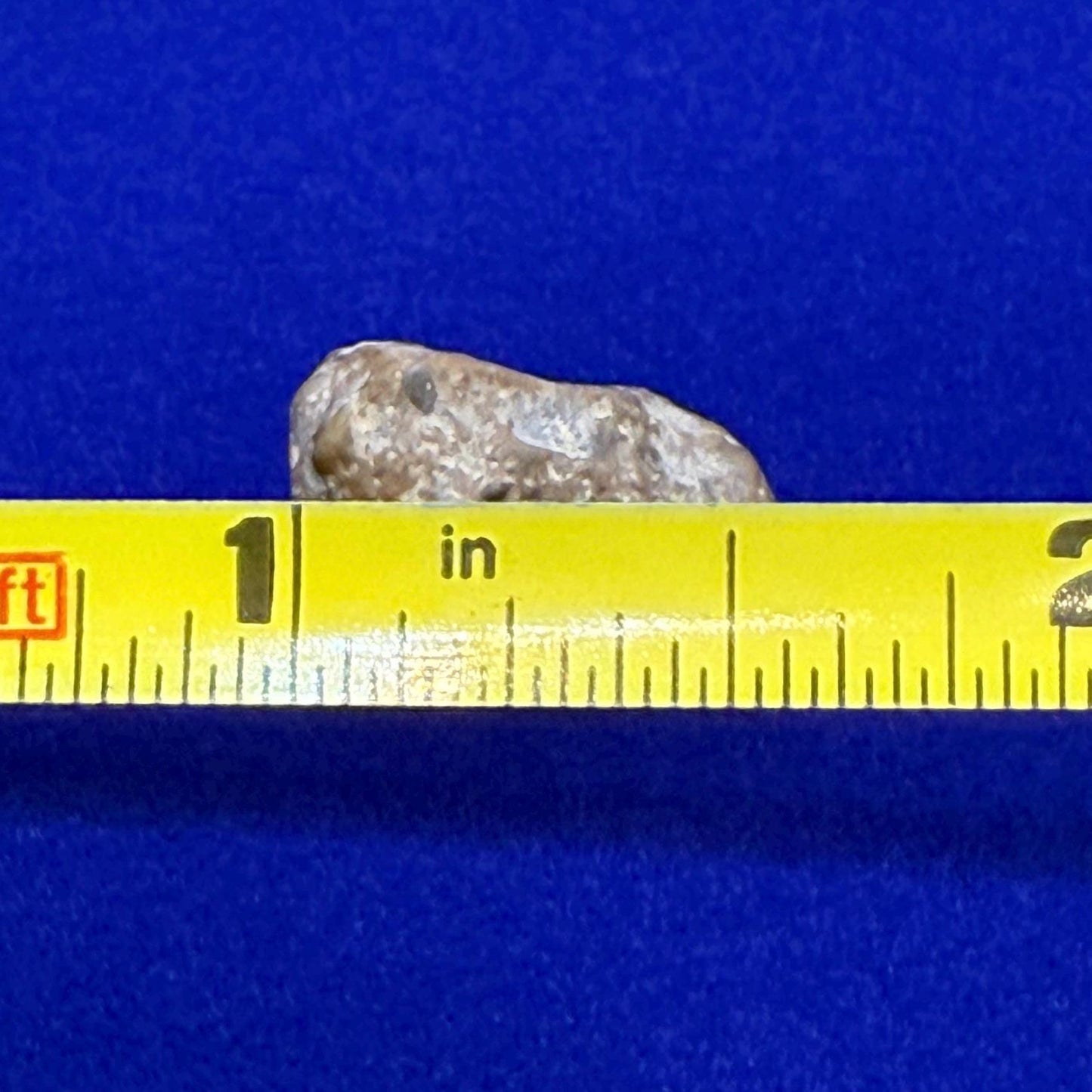 Moon|Lunar Meteorite Pendant, NWA 13974, Feldspathic Breccia, Moon Meteorite, Meteorite Collection, Lunar Feldspathic Breccia, 1.77 grams