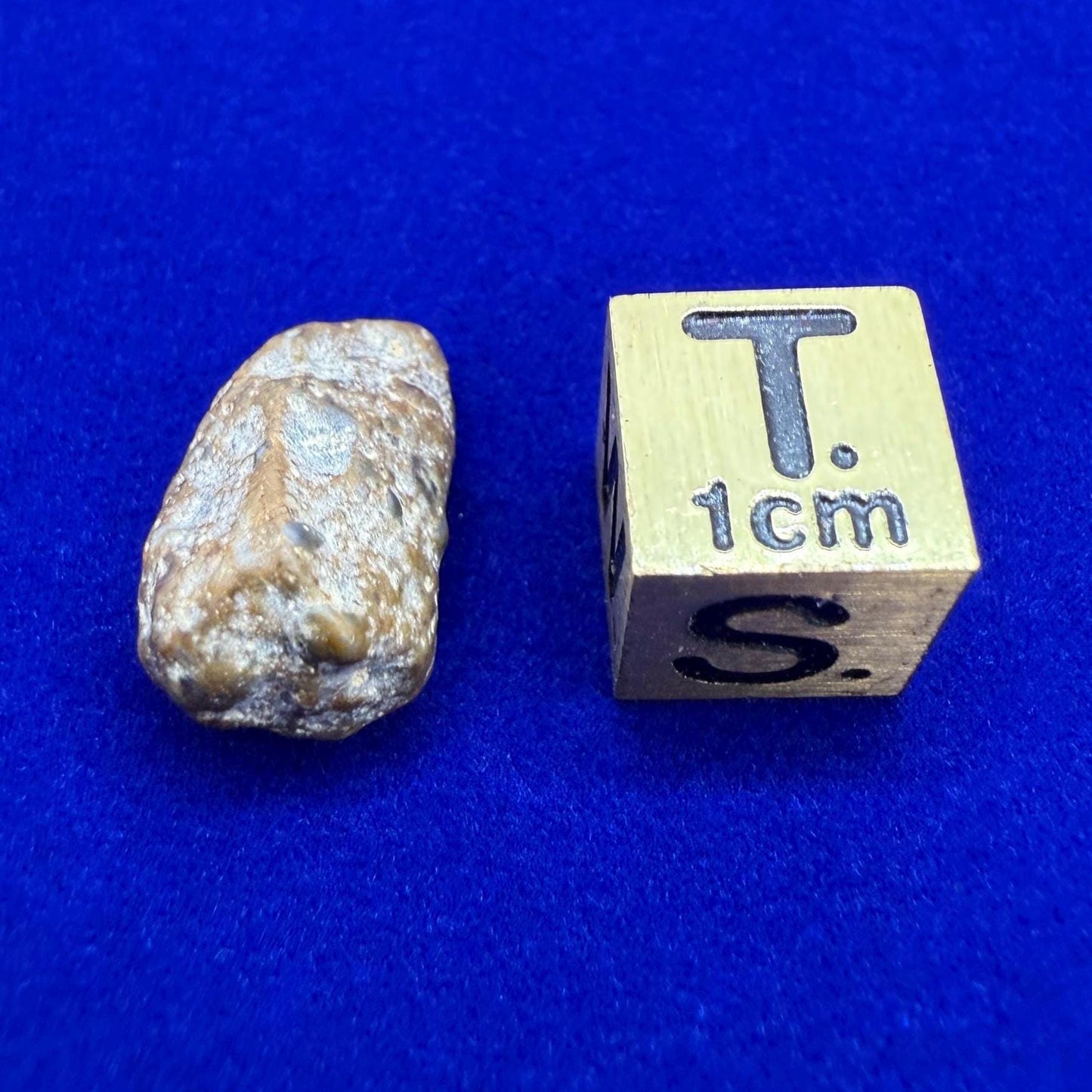 Moon|Lunar Meteorite Pendant, NWA 13974, Feldspathic Breccia, Moon Meteorite, Meteorite Collection, Lunar Feldspathic Breccia, 1.77 grams