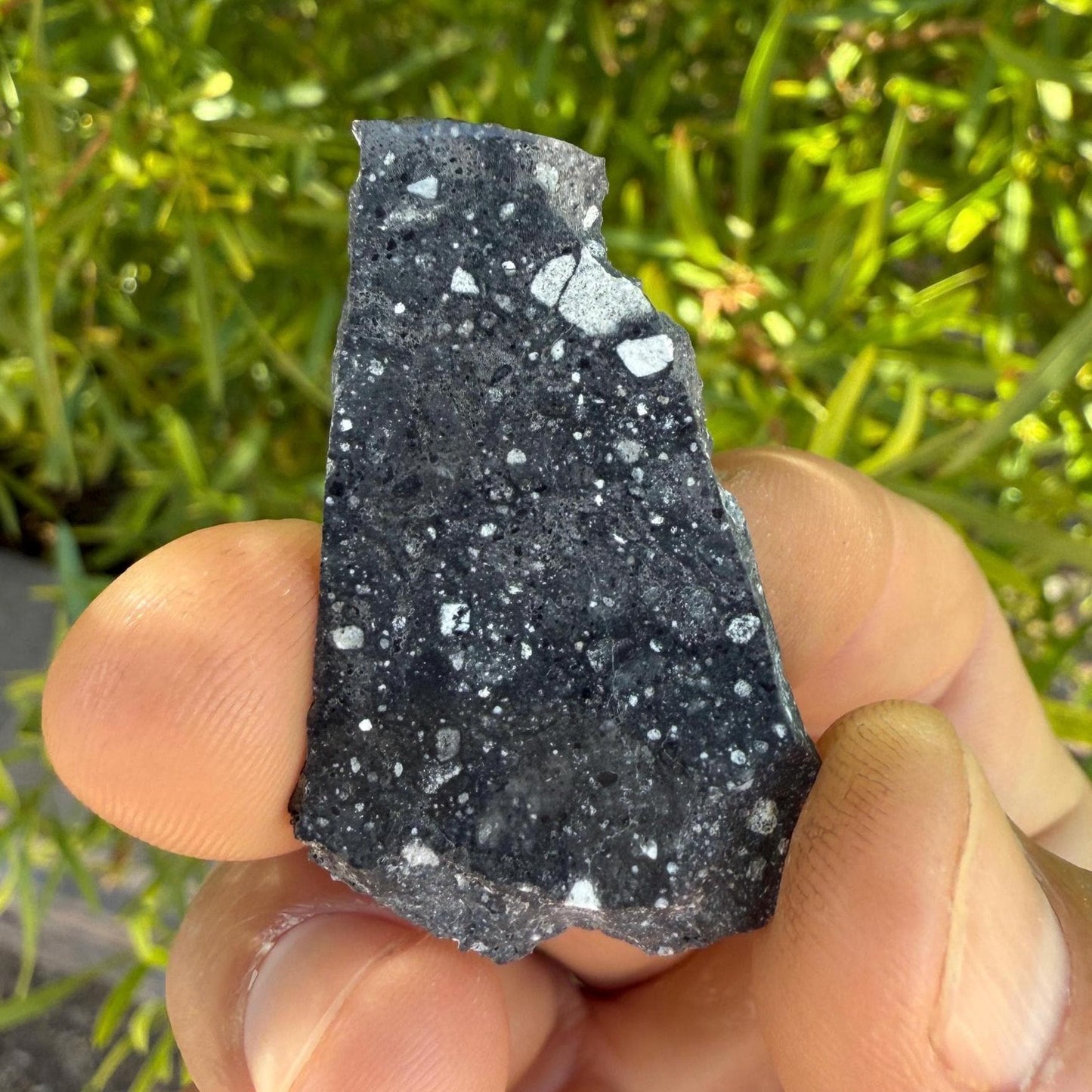 NWA 17679 Lunar Meteorite Slice, Rare Feldspathic Breccia Lunar, Mauritania, Africa, Moon Rock, Astronomy Gift, 4.30 grams