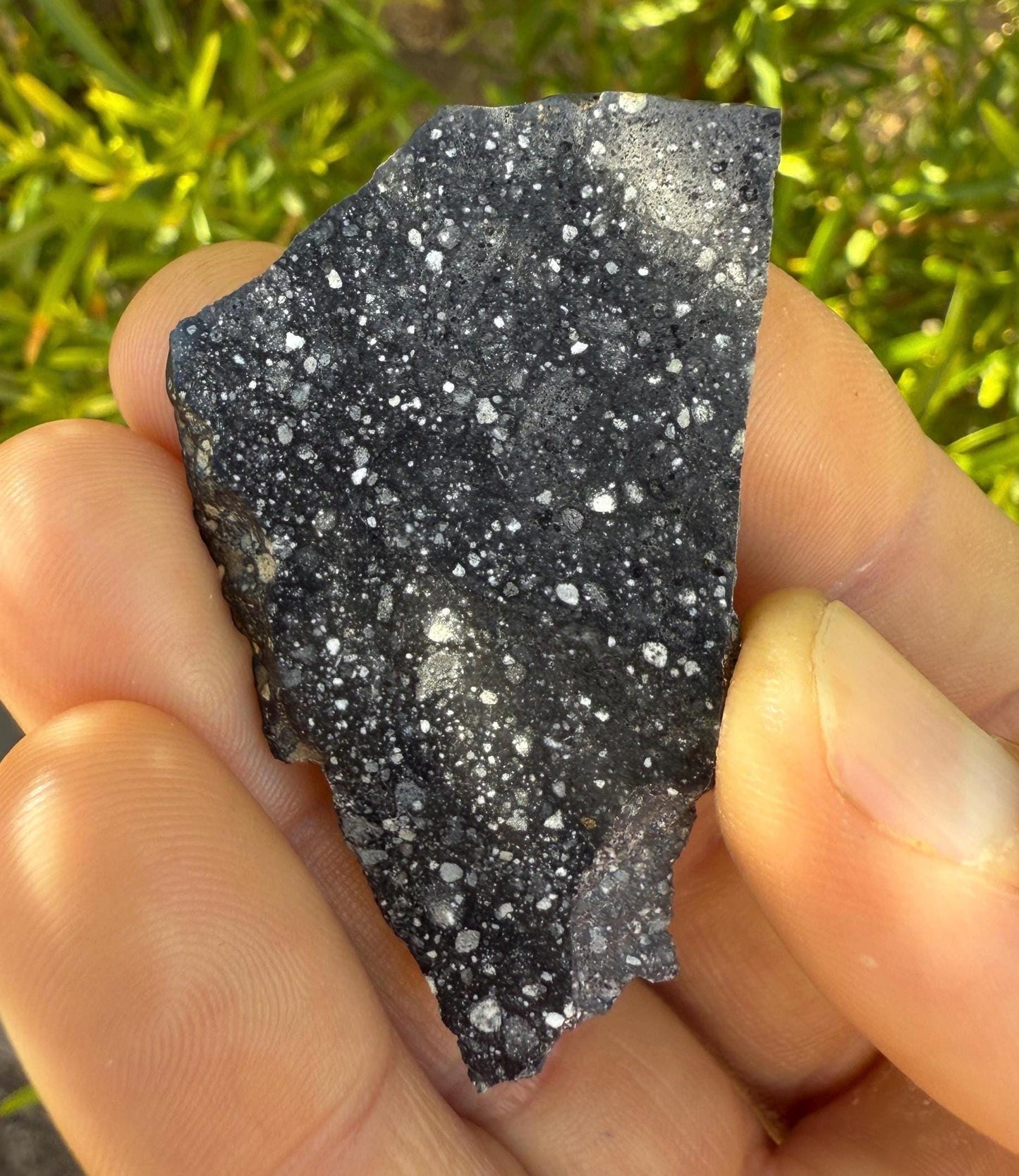 NWA 17679 Lunar Meteorite Slice, Rare Feldspathic Breccia Lunar, Mauritania, Africa, Moon Rock, Astronomy Gift, 7.23 grams