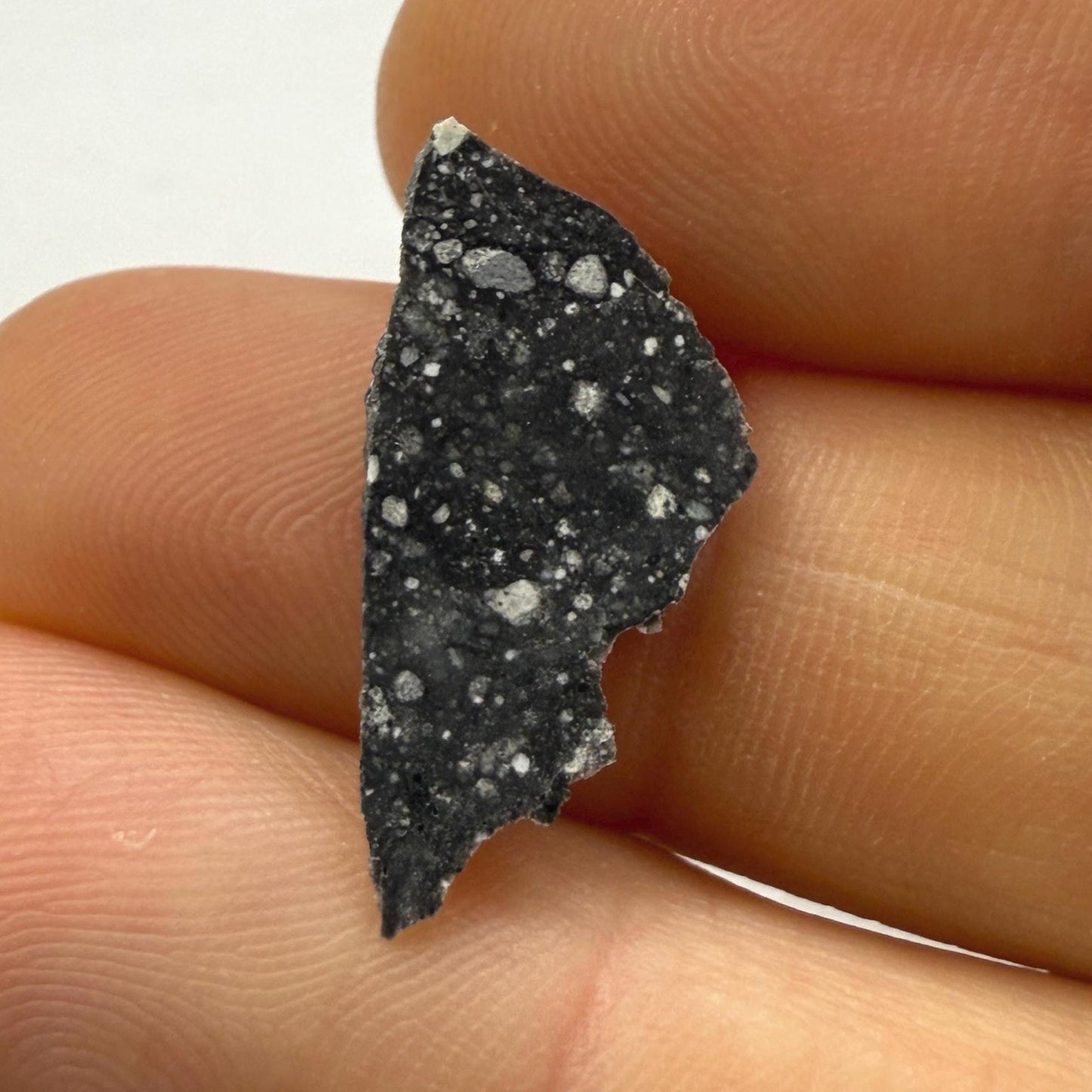 NWA 17679 Lunar Meteorite Slice, Rare Feldspathic Breccia Lunar, Mauritania, Africa, Moon Rock, Astronomy Gift, 0.69 grams