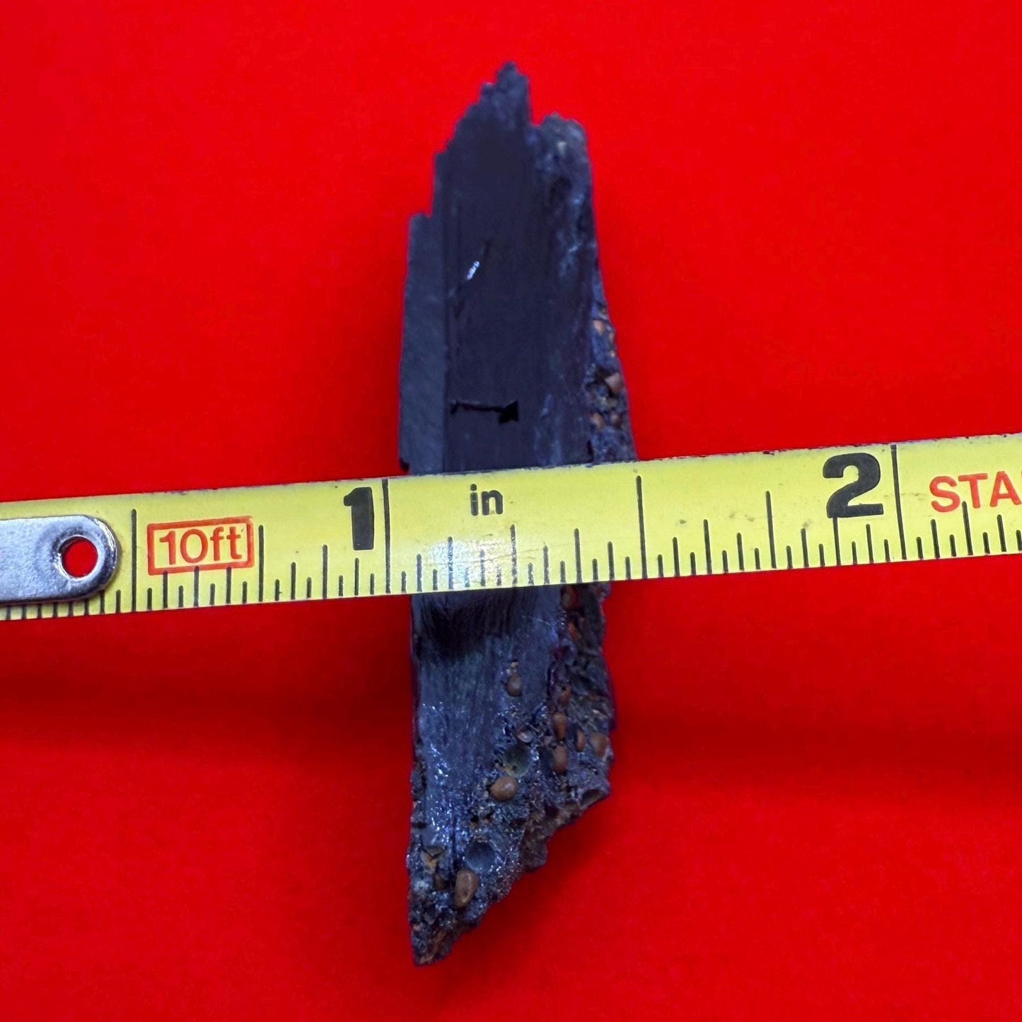 Rare Vivianite Crystal, Vivianite, Vivianite, Brazilian Vivianite, Reiki Energy, Crystal Collection, Reiki, 10.72 grams|53.6 carats