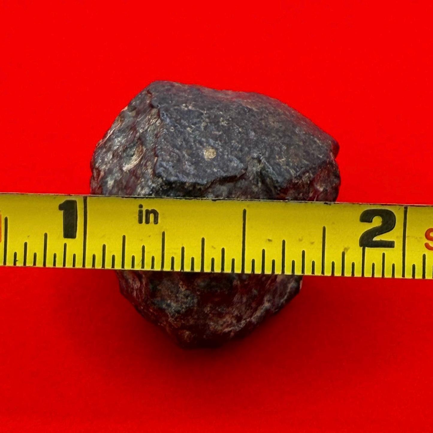 Meteorite NWA 869 Chondrite Stony Meteorite, 20.47 grams, Authentic Meteorite, Meteorite Collection, COA, Astronomy Gift, Space Gift