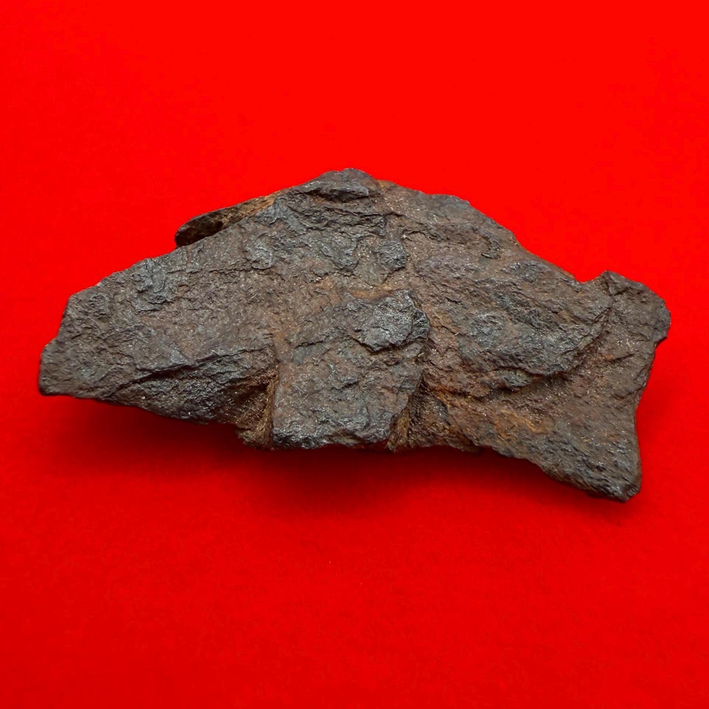 Gibeon Meteorite, Namibia, Iron IVA, 10.00 grams, Rare Meteorite, Iron Meteorite, Astronomy Gift, Space Gift, African Meteorite
