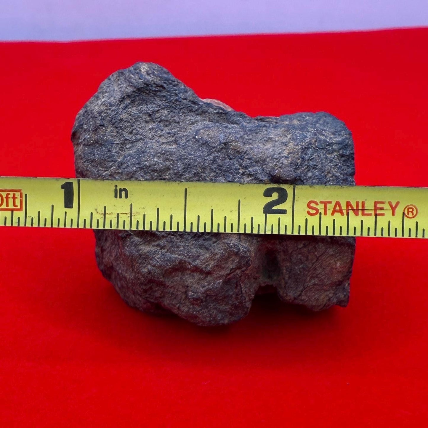 Rare Al Haggouina 001 Enstatite Chondrite Meteorite, 50.69g, Ex. Greg Hupe Collection, Cut Base with Internal Pattern