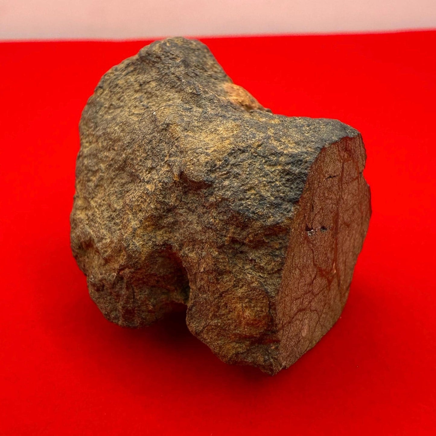 Rare Al Haggouina 001 Enstatite Chondrite Meteorite, 50.69g, Ex. Greg Hupe Collection, Cut Base with Internal Pattern