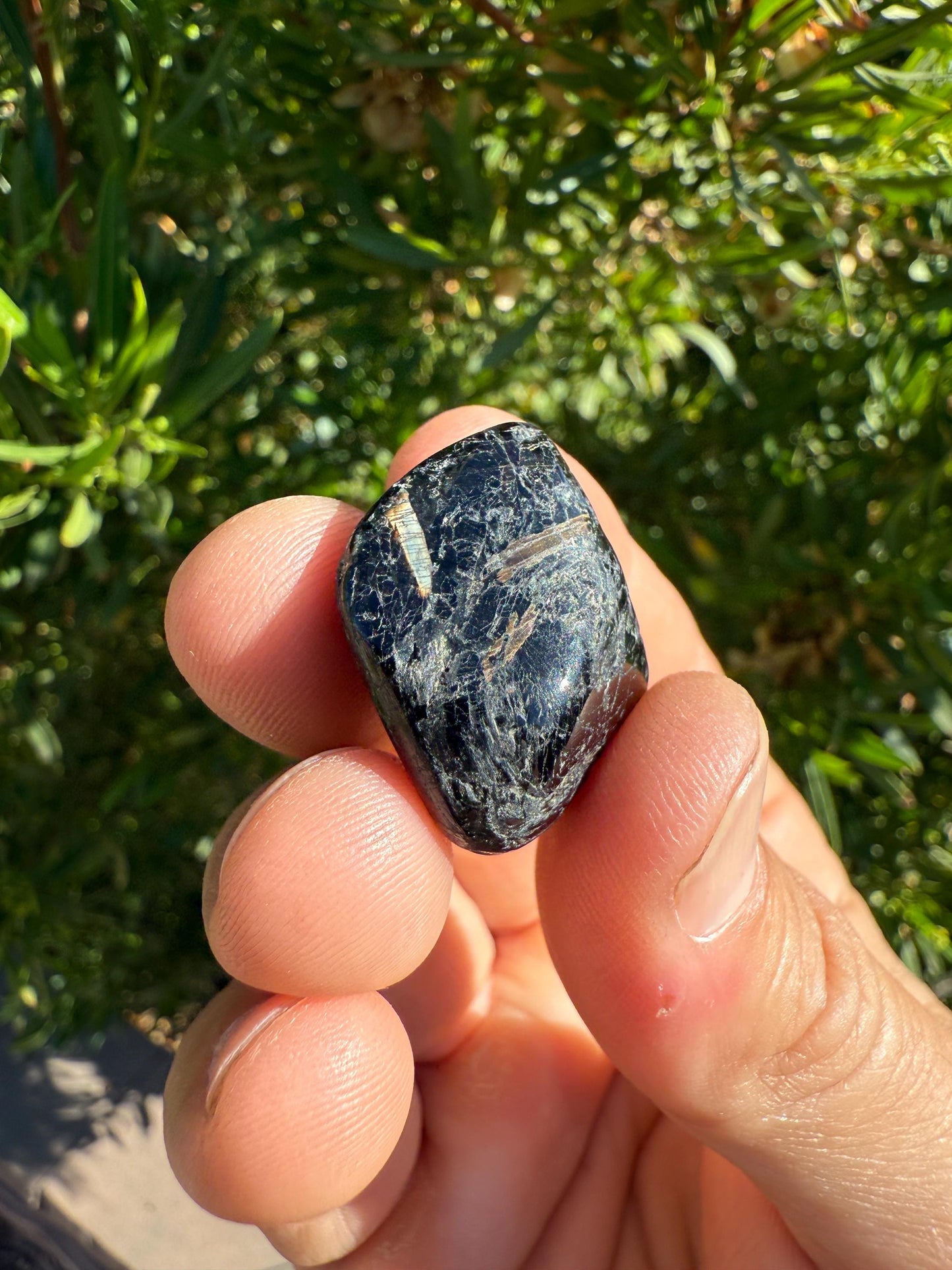 Nuummite Stone: Greenland Stone for Reiki, Grounding, Talisman, 16.00 grams
