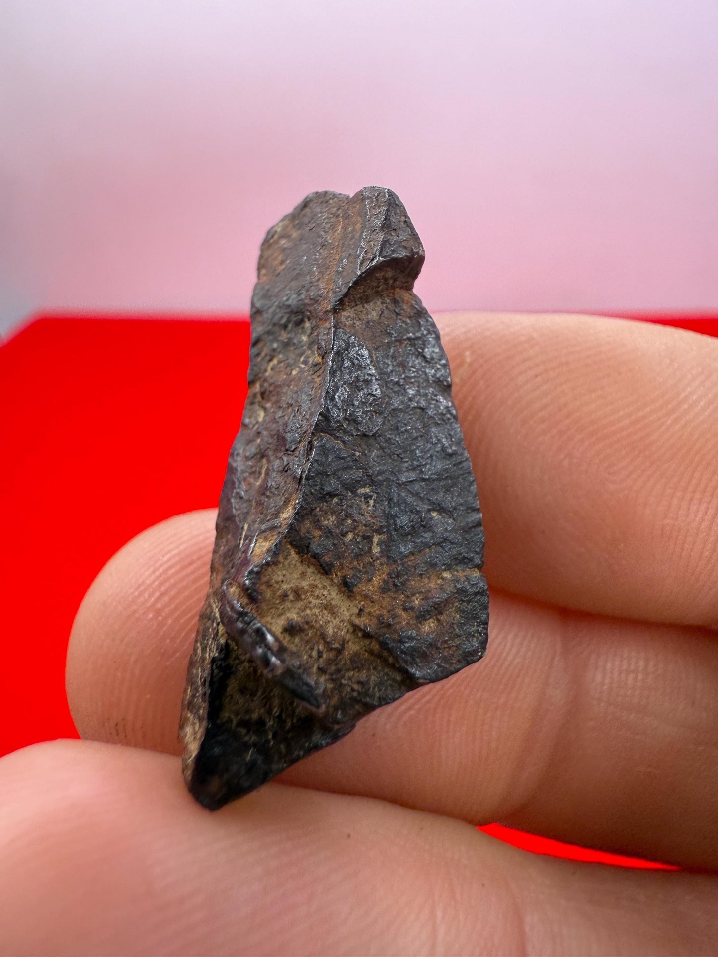Gibeon Meteorite: 9.48 grams, Iron IVA, Namibia, Rare Iron Meteorite