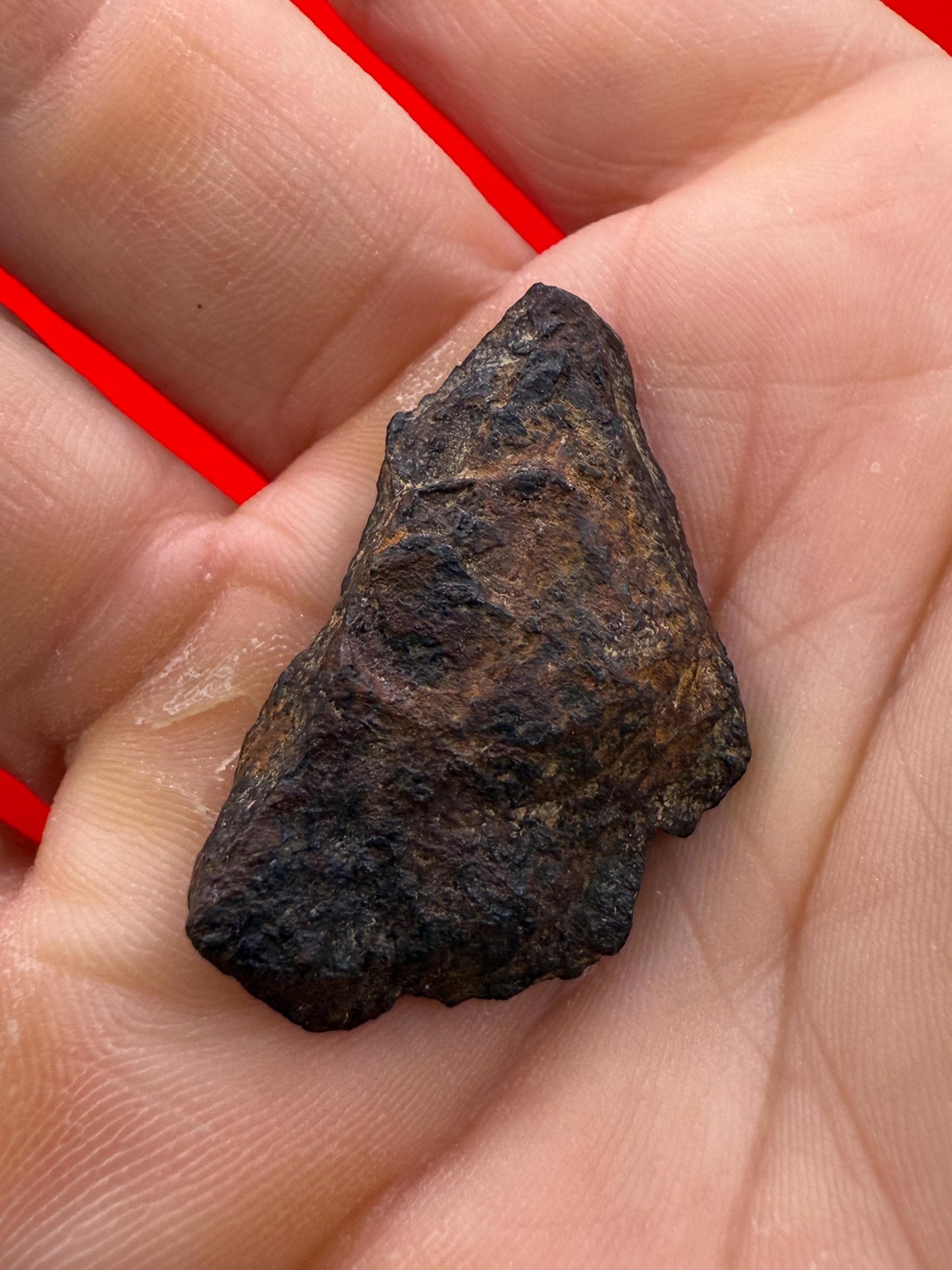 Gibeon Meteorite, Namibia, Iron IVA, 12.92 grams, Rare Meteorite, Iron Meteorite, Astronomy Gift, Space Gift, African Meteorite