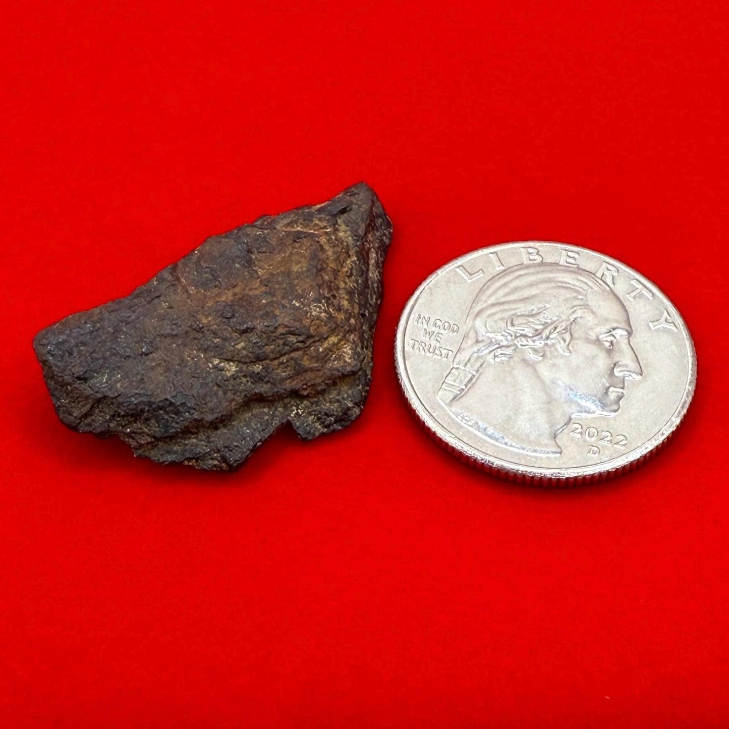 Gibeon Meteorite, Namibia, Iron IVA, 12.92 grams, Rare Meteorite, Iron Meteorite, Astronomy Gift, Space Gift, African Meteorite