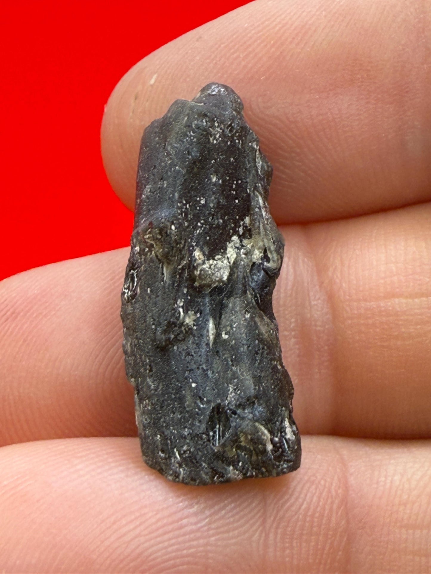 Darwin Glass Tektite: Tasmanian Impactite Talisman, 2.08 grams