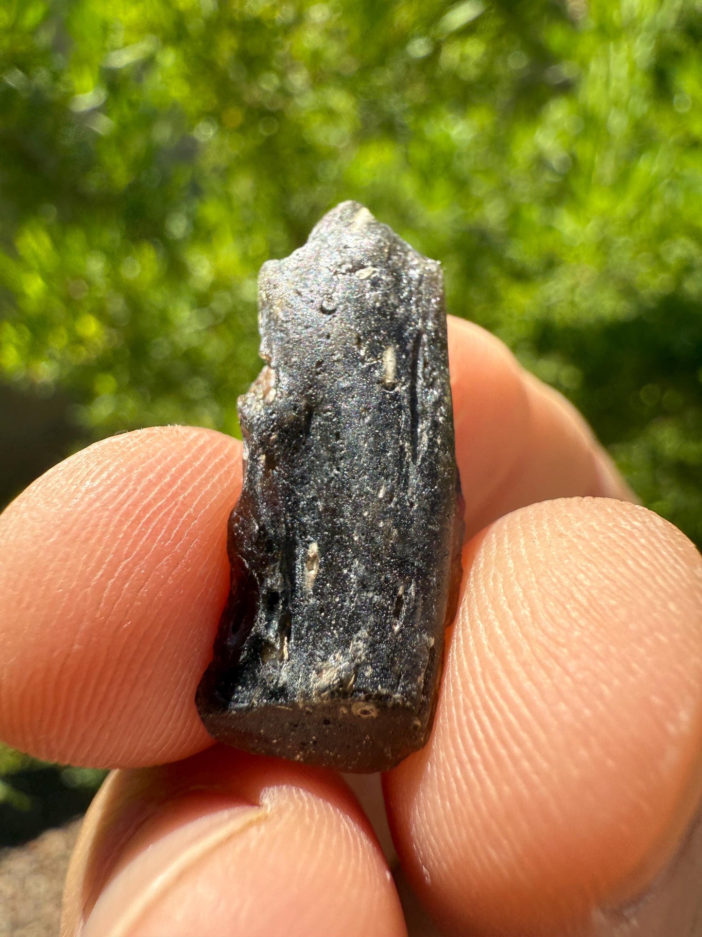 Darwin Glass Tektite: Tasmanian Impactite Talisman, 2.08 grams