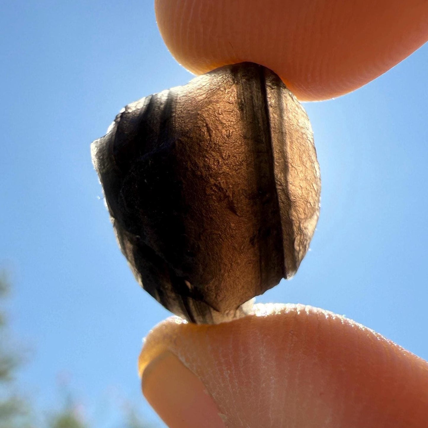 Saffordite Specimen: Arizona Cintamani Stone, Metaphysical Obsidian, Pseudo-Tektite, 1.21 grams