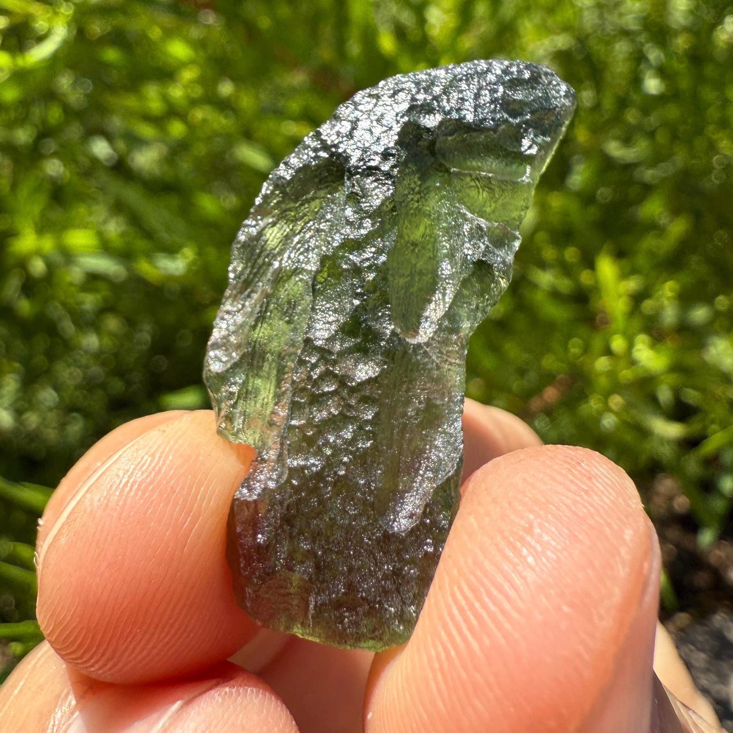 Authentic Moldavite Tektite Specimen: Czech Republic, Reiki Energy, 4.95g/24.75ct
