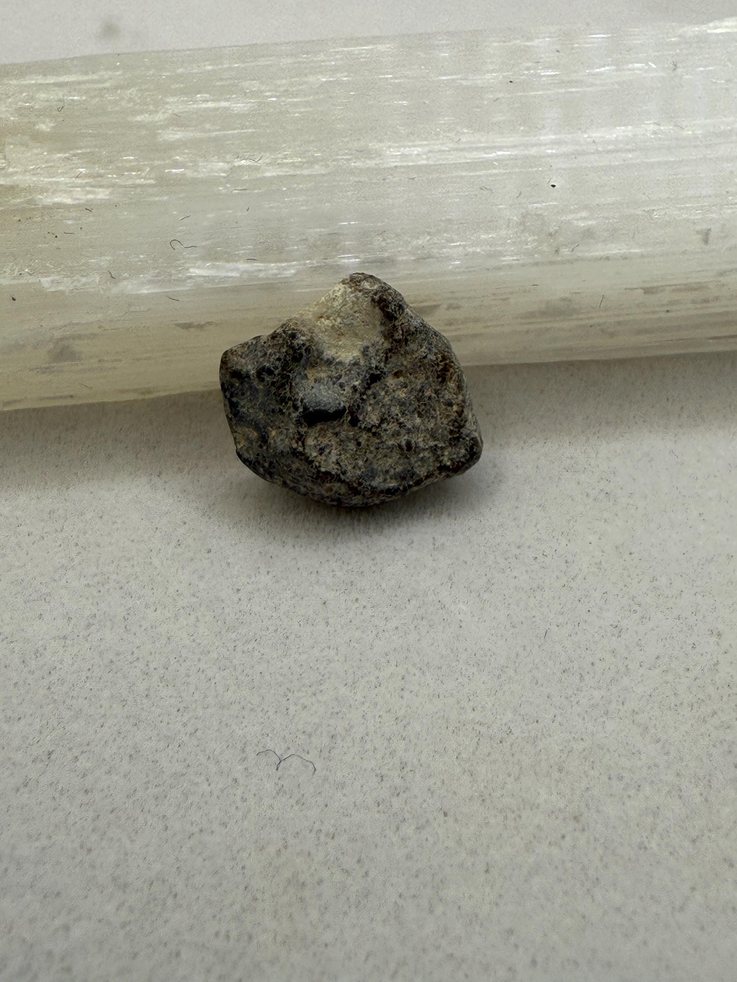 NWA 13974 Moon|Lunar Meteorite, Feldspathic Breccia, Moon Meteorite, Meteorite Collection, Lunar Feldspathic Breccia, 0.59 grams