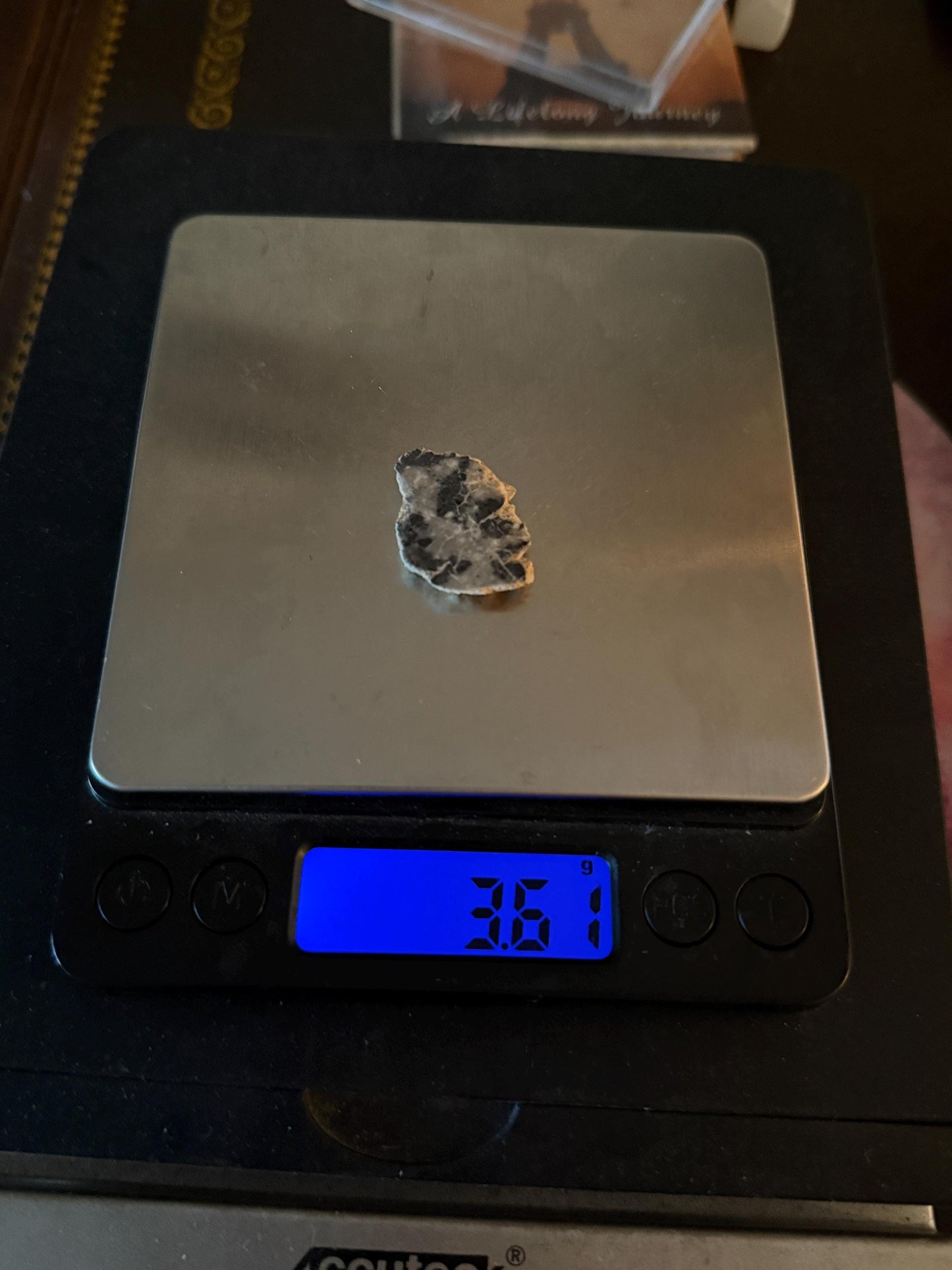 NWA 15373 Moon/Lunar Meteorite Slice, Feldspathic Breccia, Moon Meteorite, Meteorite Collection, Lunar Feldspathic Breccia, 3.61 grams