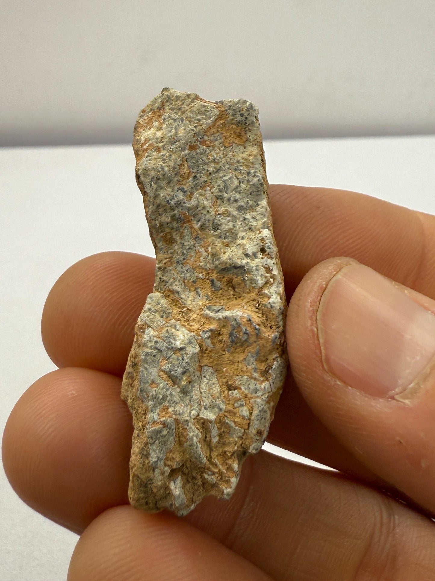 NWA 15373 Moon/Lunar Meteorite Slice, Feldspathic Breccia, Moon Meteorite, Meteorite Collection, Lunar Feldspathic Breccia, 8.17 grams