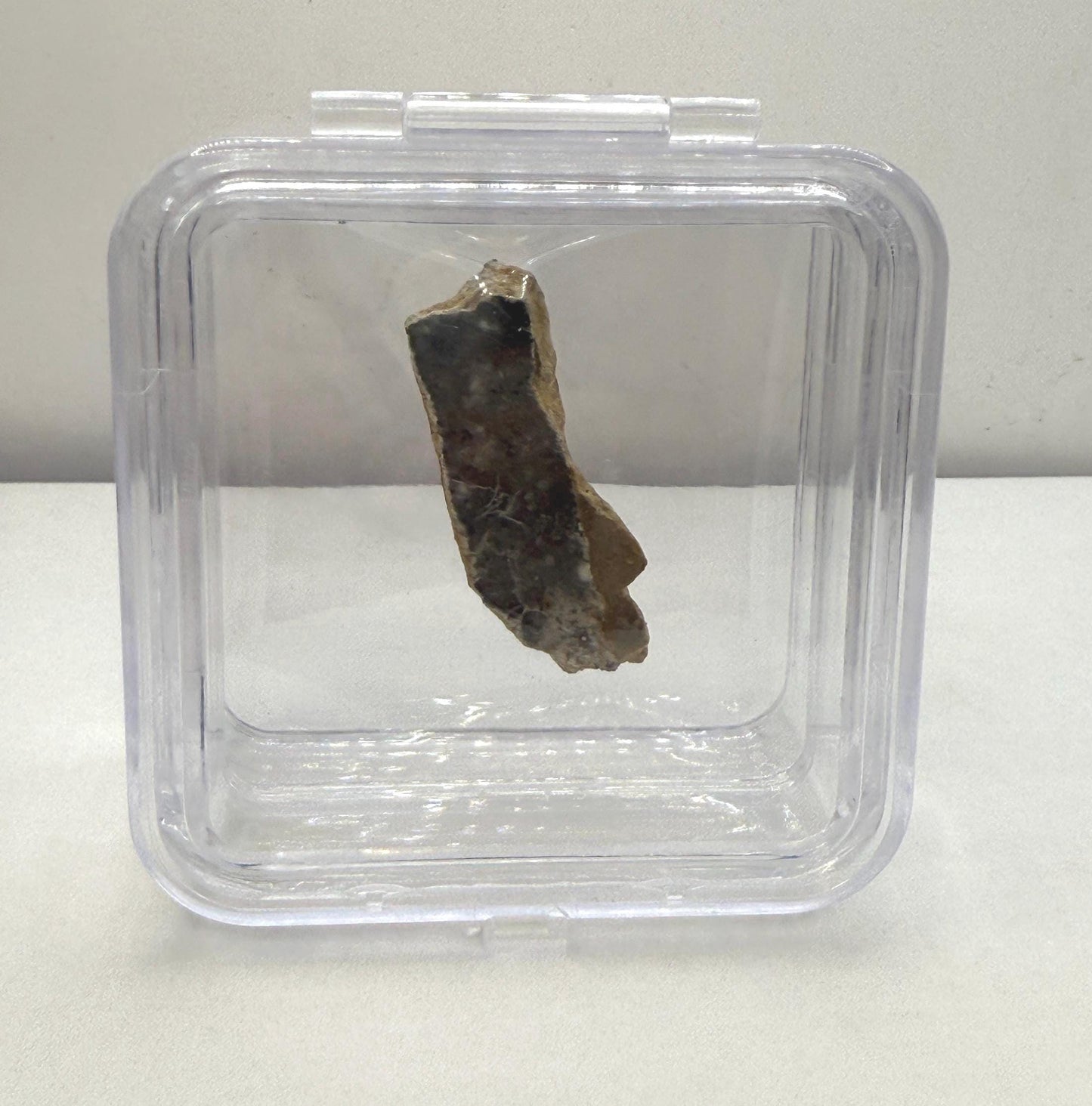 NWA 15373 Moon/Lunar Meteorite Slice, Feldspathic Breccia, Moon Meteorite, Meteorite Collection, Lunar Feldspathic Breccia, 8.17 grams