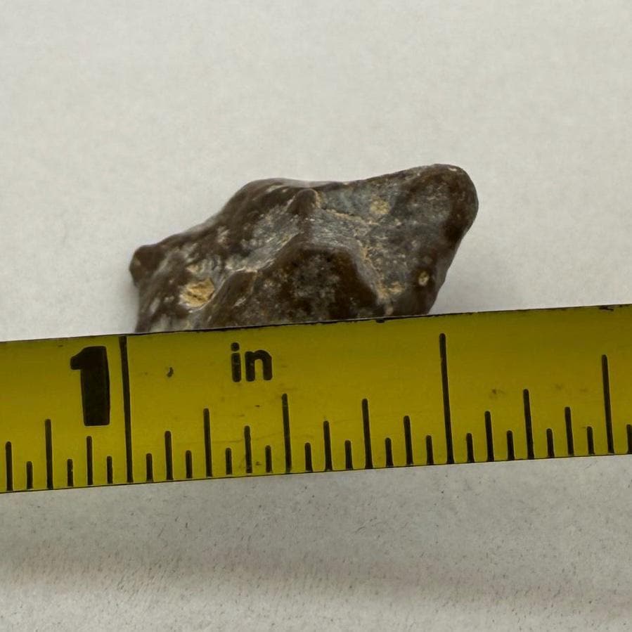 NWA 13974 Moon|Lunar Meteorite, Feldspathic Breccia, Moon Meteorite, Meteorite Collection, Lunar Feldspathic Breccia, 1.79 grams