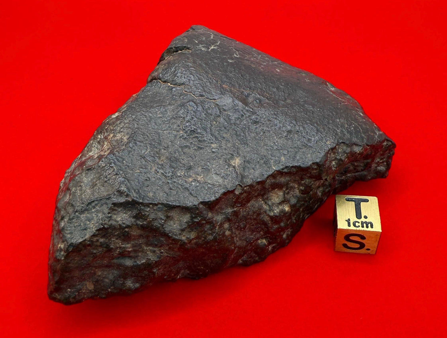 NWA 869 Meteorite 343.29g | Large Oriented Chondrite with Fusion Crust | COA