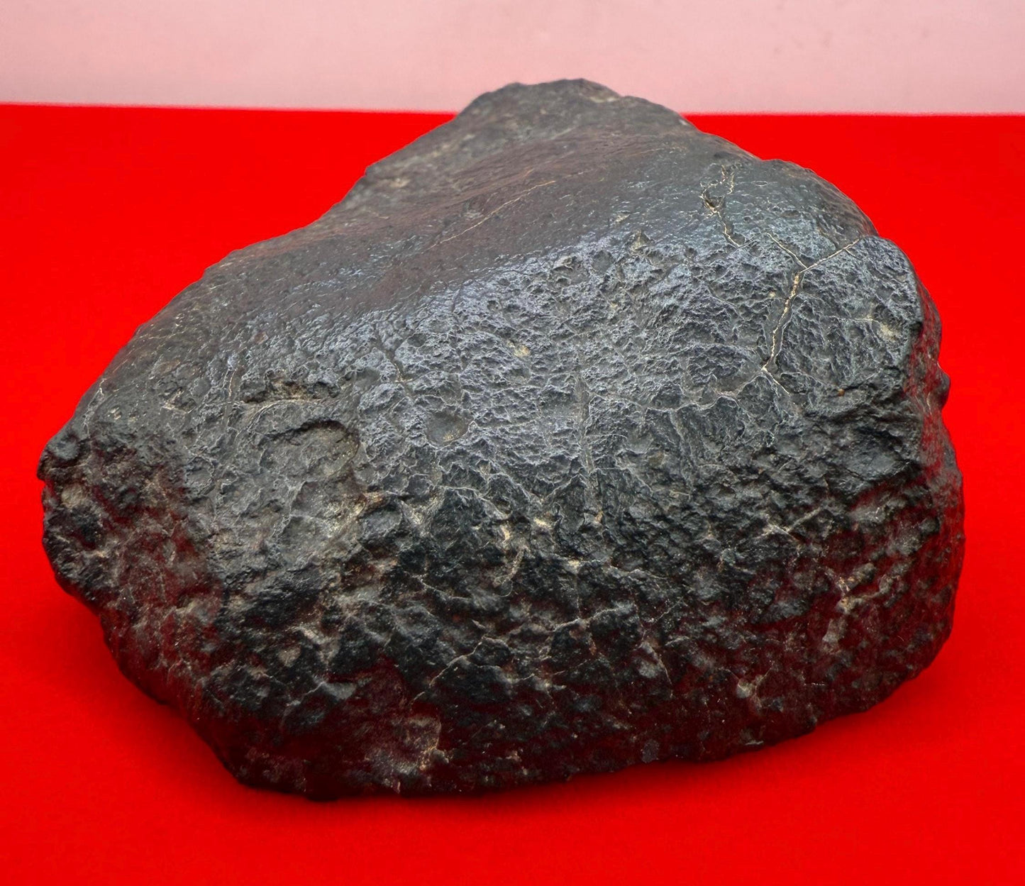 NWA 869 Meteorite 343.29g | Large Oriented Chondrite with Fusion Crust | COA