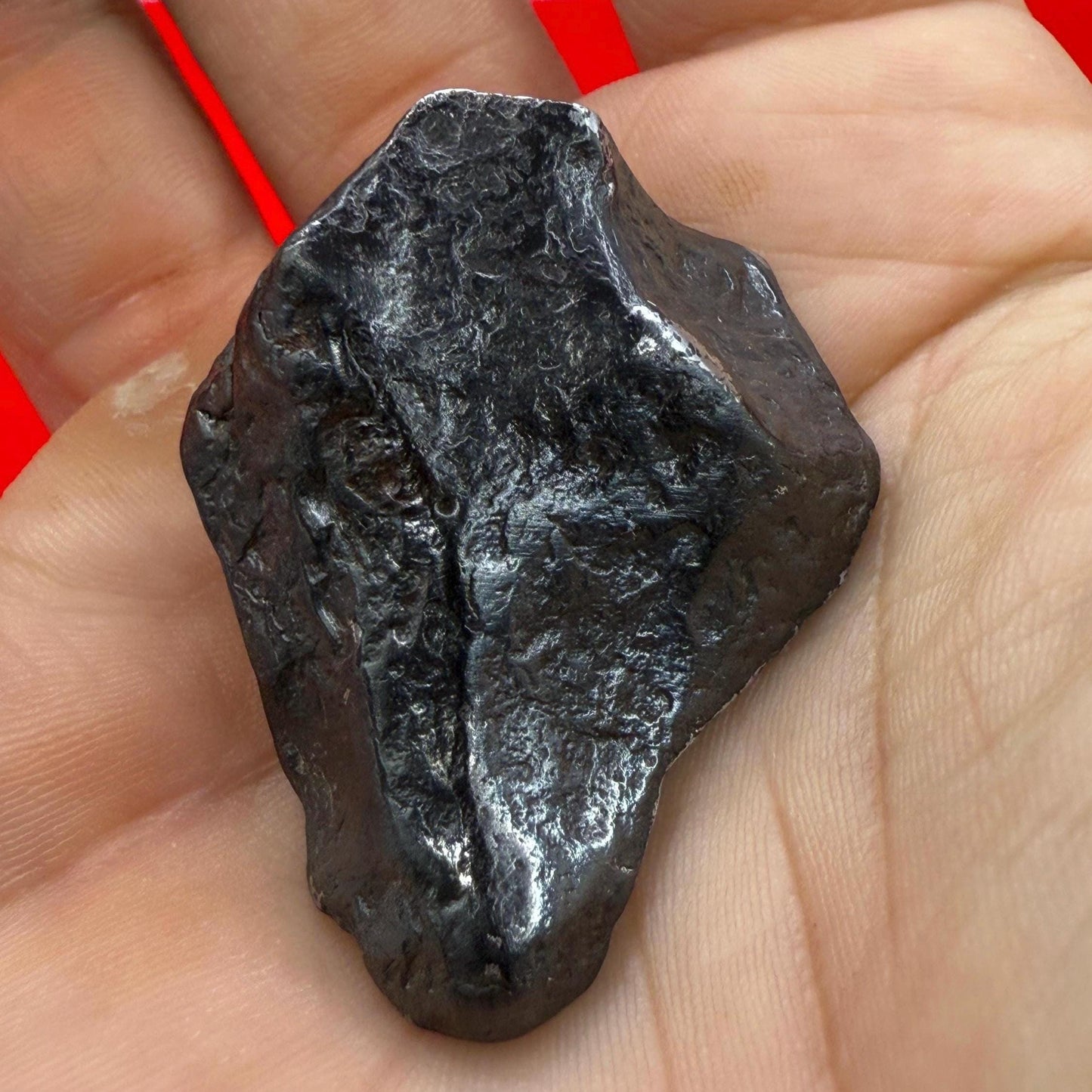 Canyon Diablo Iron Meteorite Specimen: Arizona Space Gift, Arizona, 48.37 grams