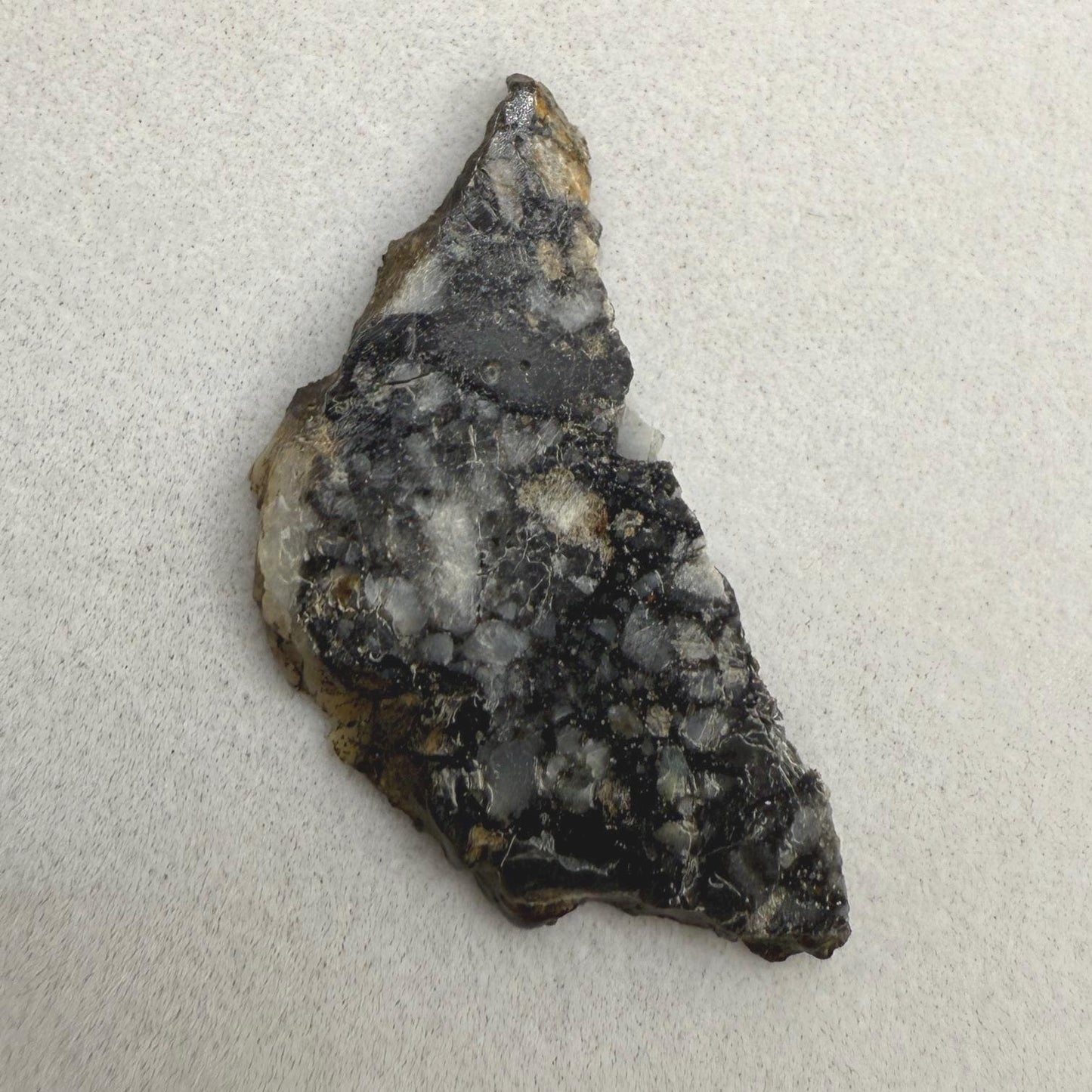Ajdabiya 001 Lunar Meteorite Slice: Moon Rock Specimen, Space Gift, 1.86 grams