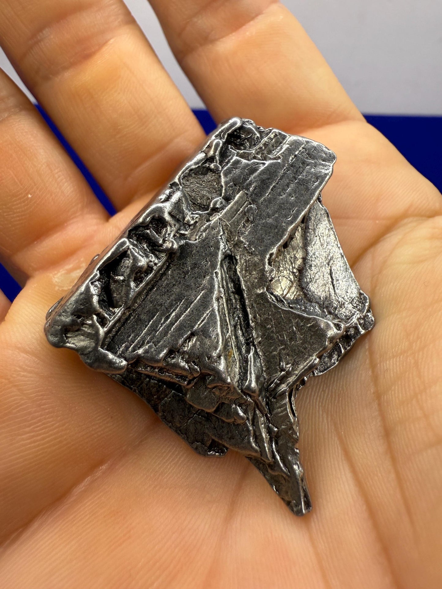 Aletai Iron-Nickel Meteorite Specimen: Astronomy Gift, COA, 64.04 grams