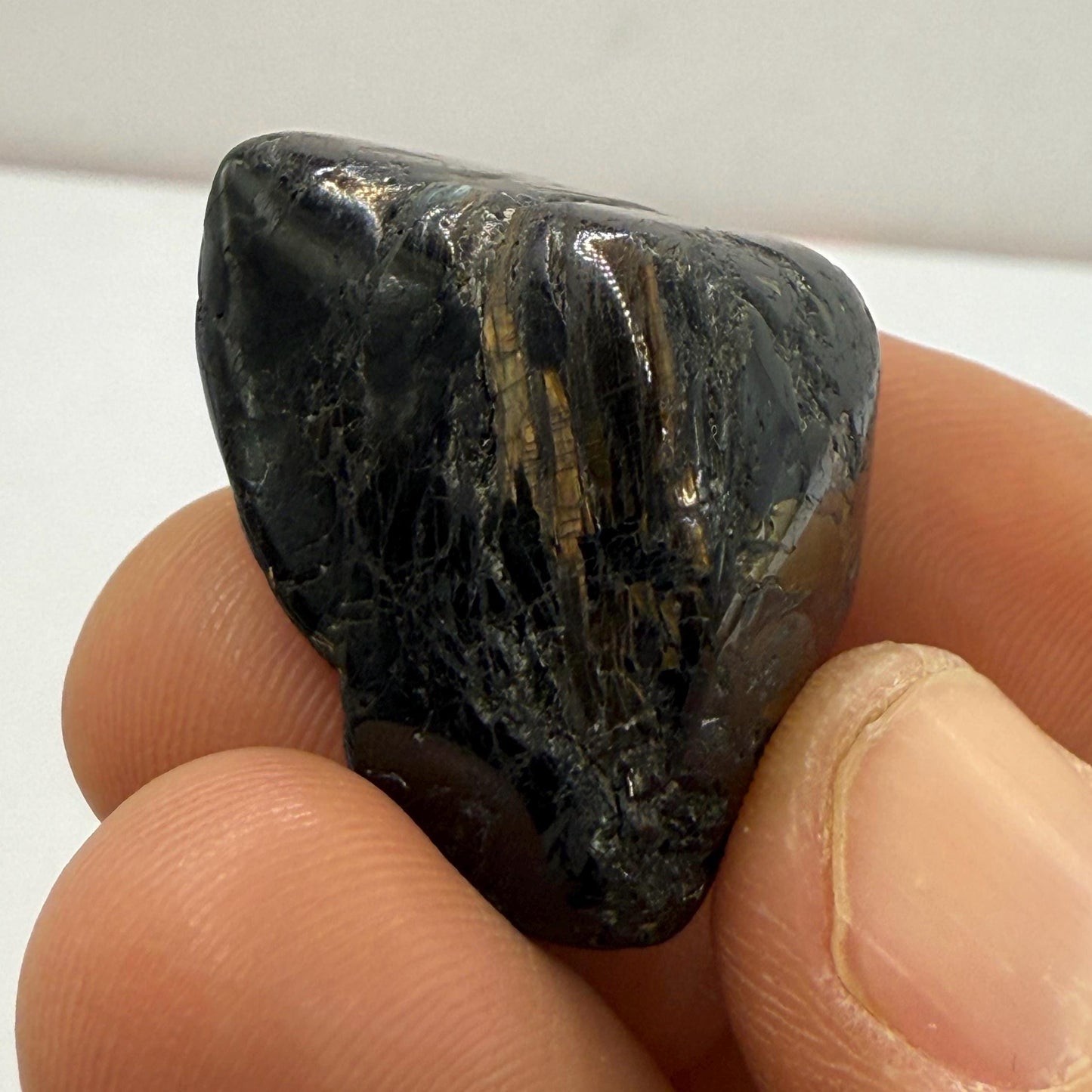 Nuummite Stone, Sorcerer’s Stone, Natural Nuummite, Greenland, Reiki, Rock Collection, Manifesting, Grounding, Energy Work, 19.47 grams