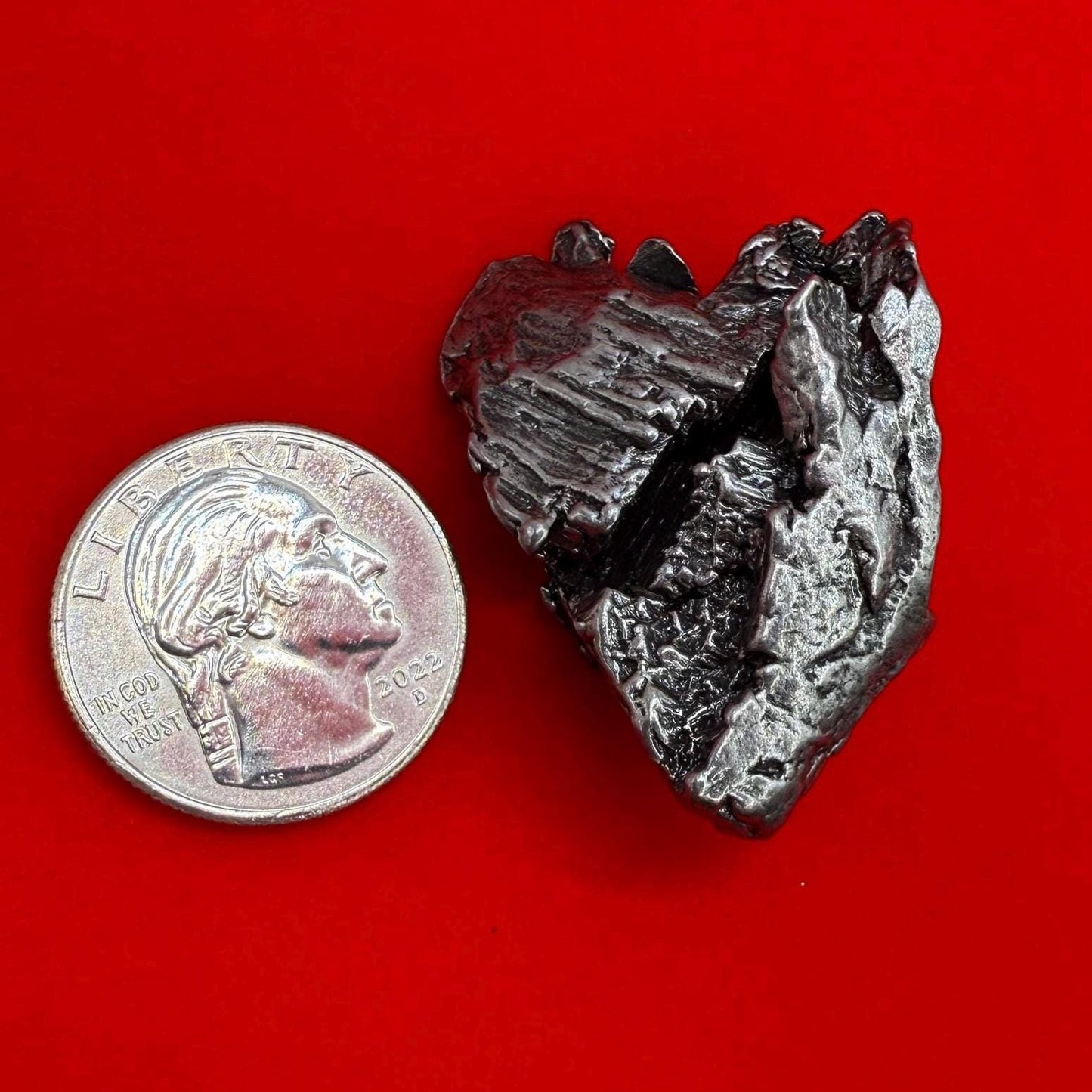 Aletai Iron-Nickel Meteorite Specimen: Astronomy Gift, COA, 45.84 grams