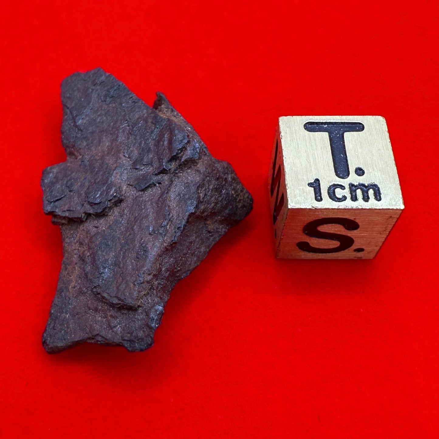 Gibeon Meteorite, Namibia, Iron IVA, 10.00 grams, Rare Meteorite, Iron Meteorite, Astronomy Gift, Space Gift, African Meteorite
