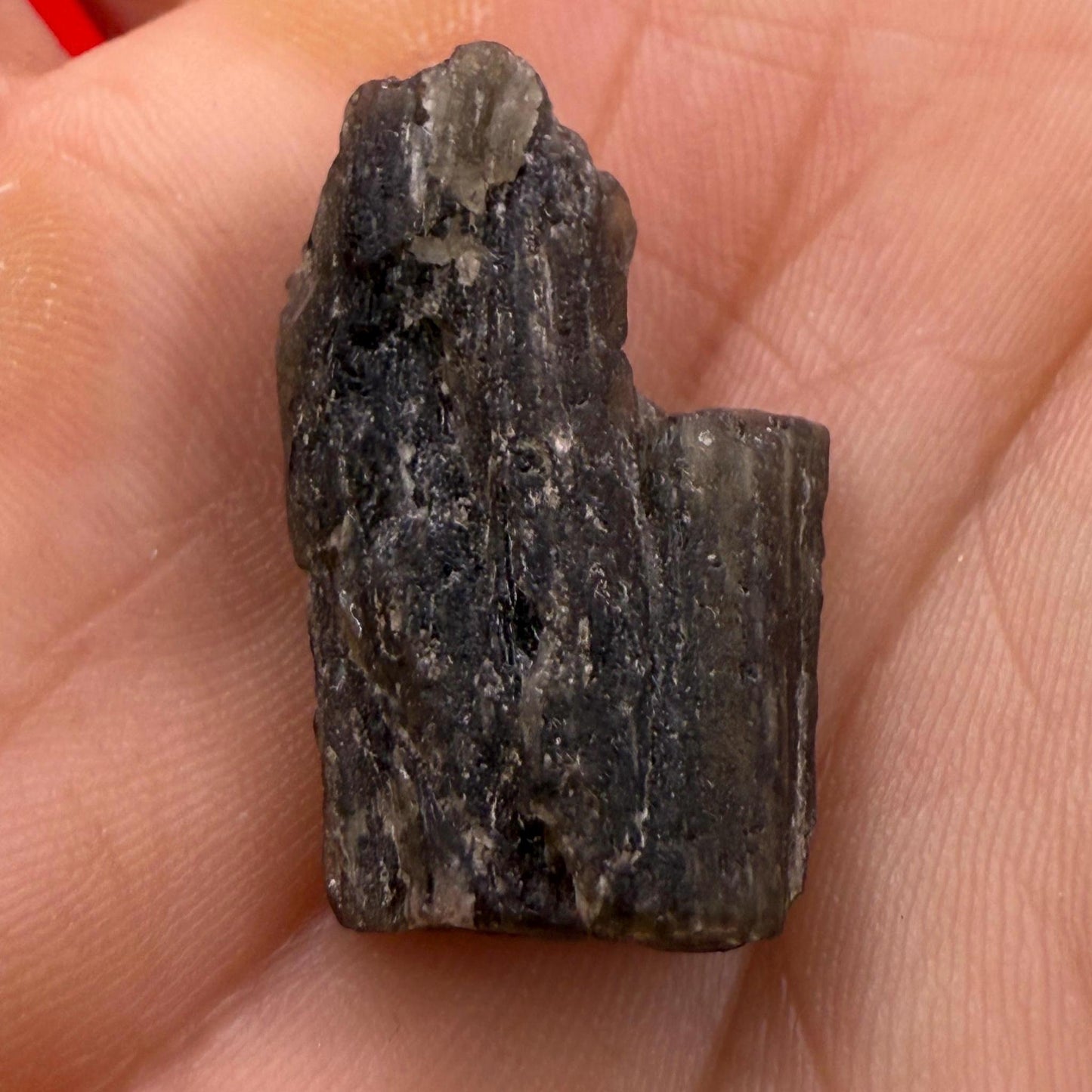 Darwin Glass Tektite: Tasmanian Impactite Talisman, 2.50 grams