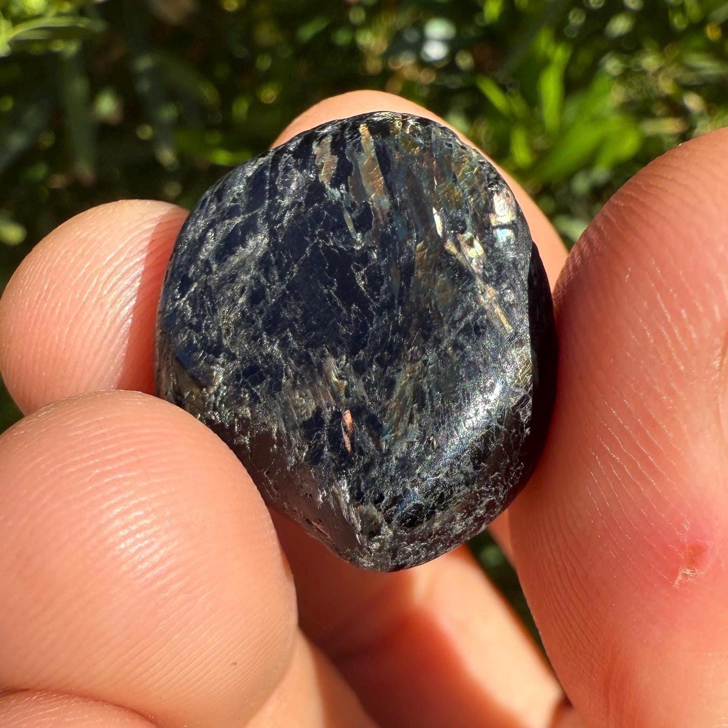 Nuummite Stone: Greenland Stone for Reiki, Grounding, Talisman, 11.51 grams