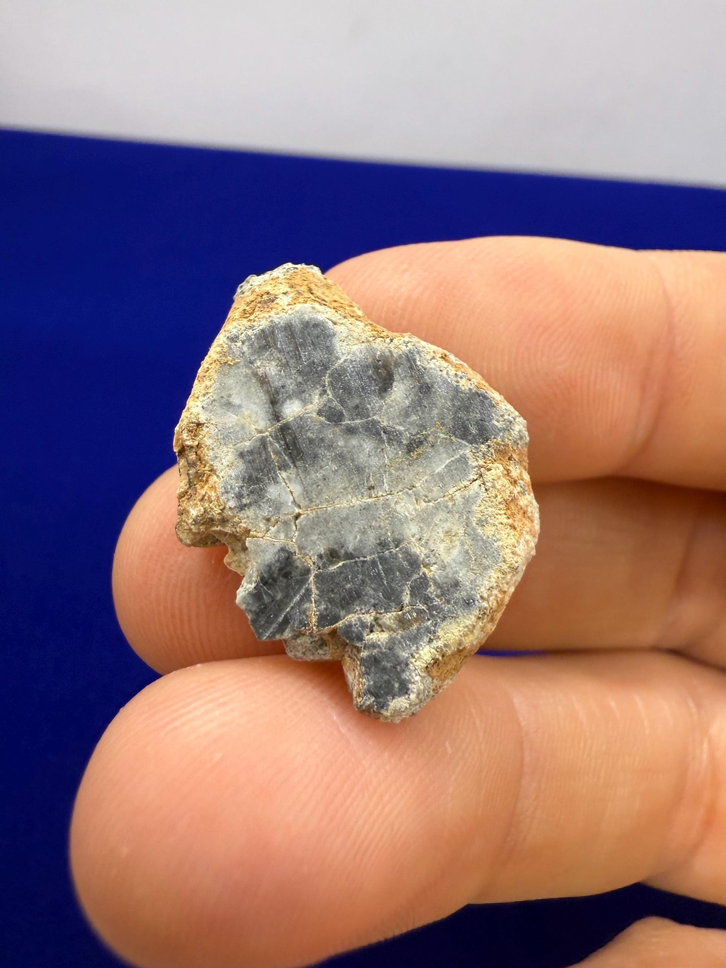 NWA 15373 Moon/Lunar Meteorite Slice, Feldspathic Breccia, Moon Meteorite, Meteorite Collection, Lunar Feldspathic Breccia, 3.61 grams